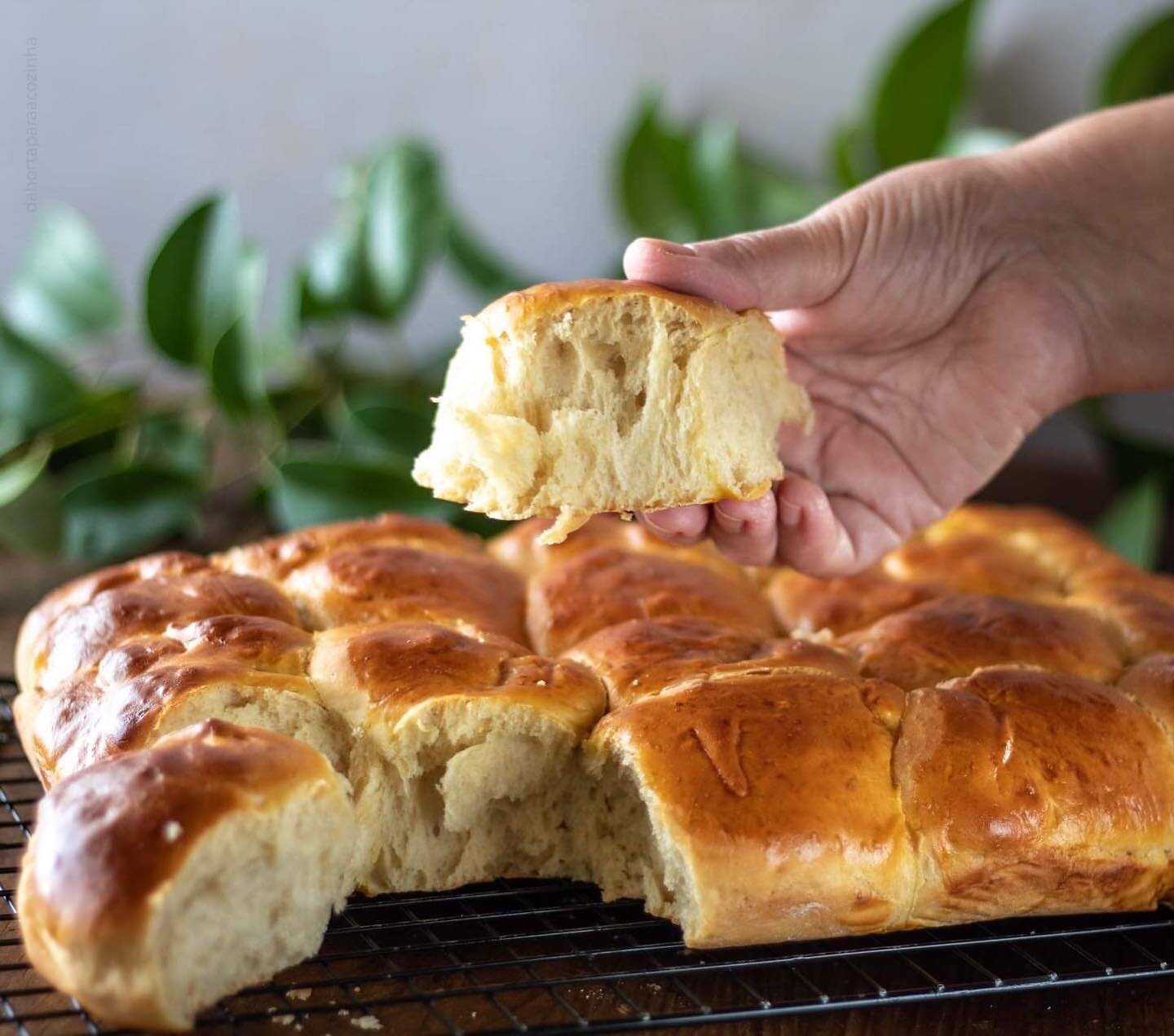 Quem gosta de brioche por aqui? Eu adoro, morno com uma boa manteiga e um cacau quente.

Quando falamos em brioches pensamos sempre nas bolinhas ou o brioche em p&atilde;o de forma.

Mas e se o fizer num tabuleiro, com as bolas bem juntinhas, como os