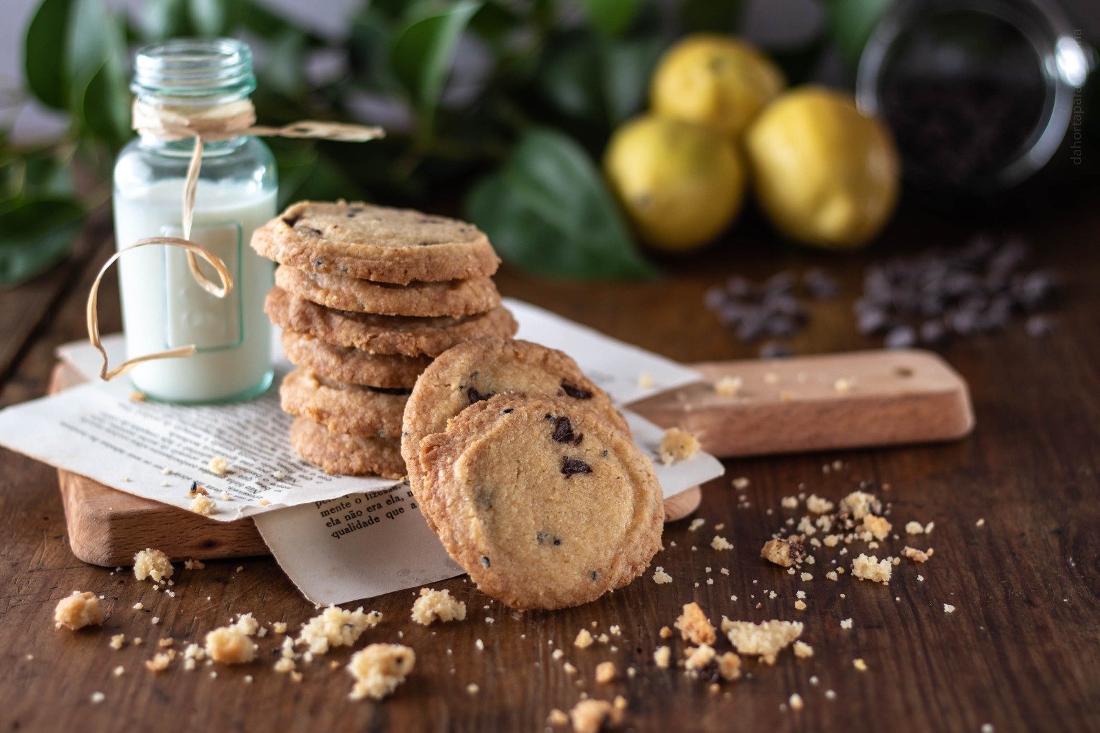 Bolachas de Limão e Chocolate