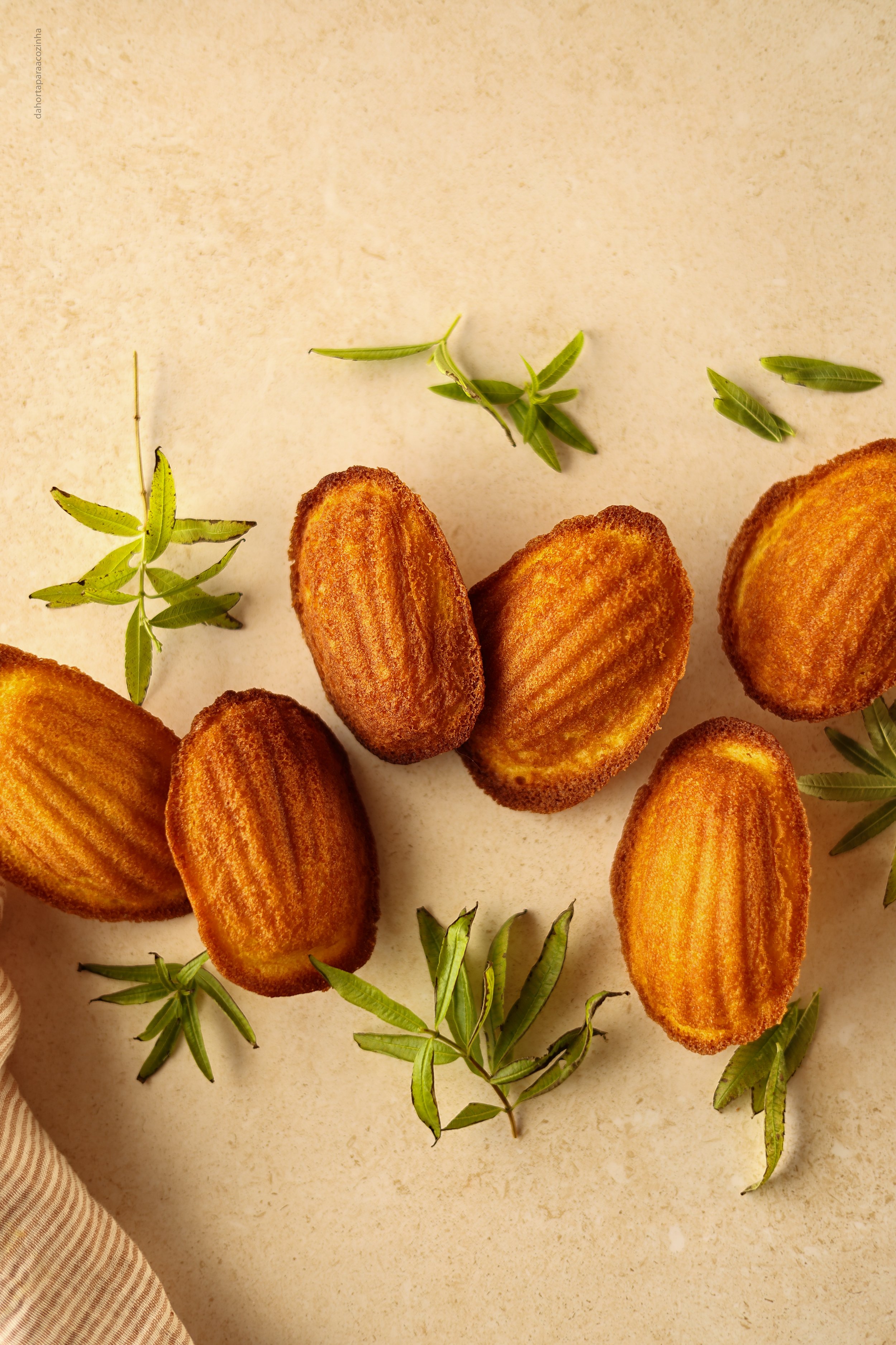 Madalenas com Lúcia-lima