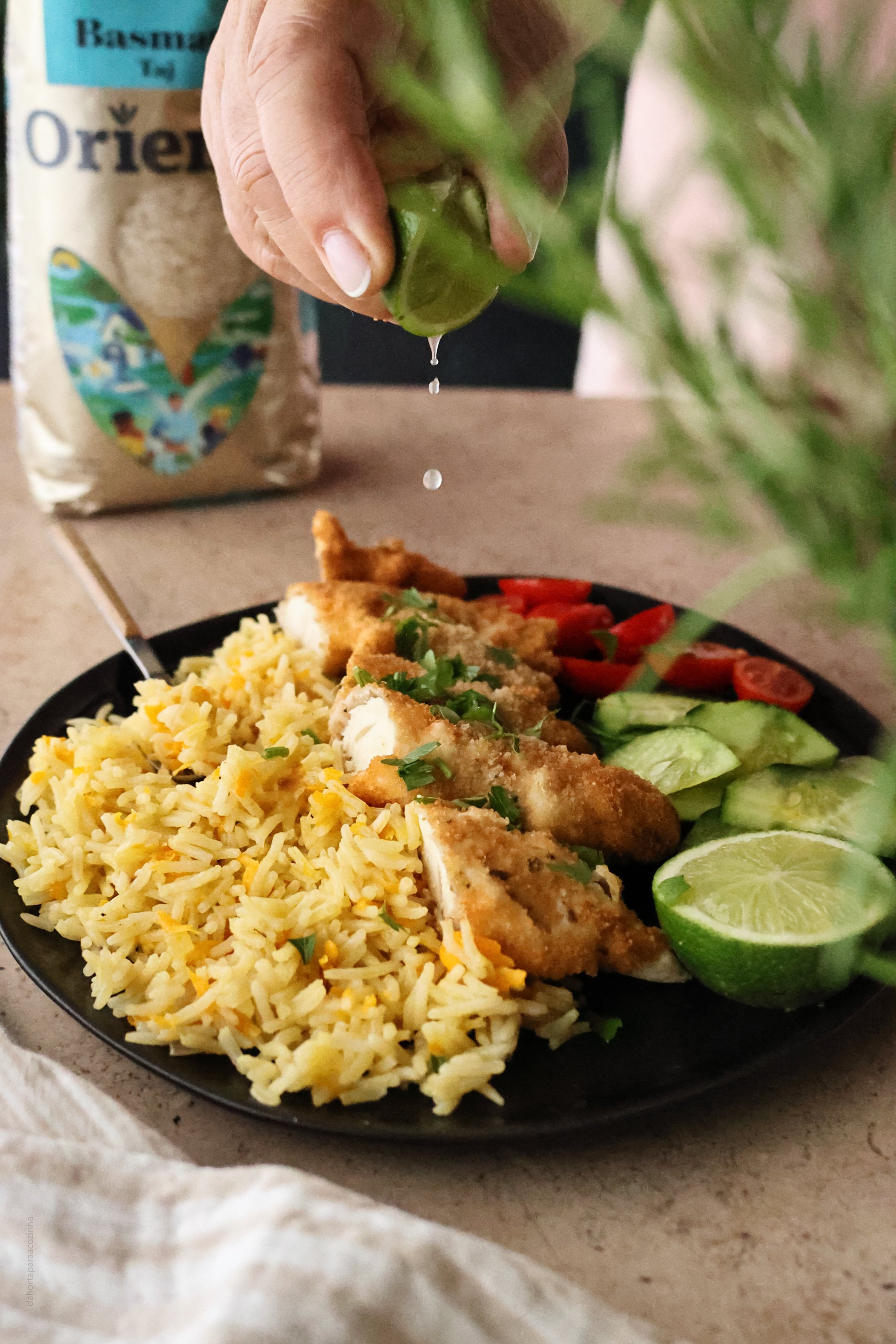 Arroz Basmati Taj de Cenoura