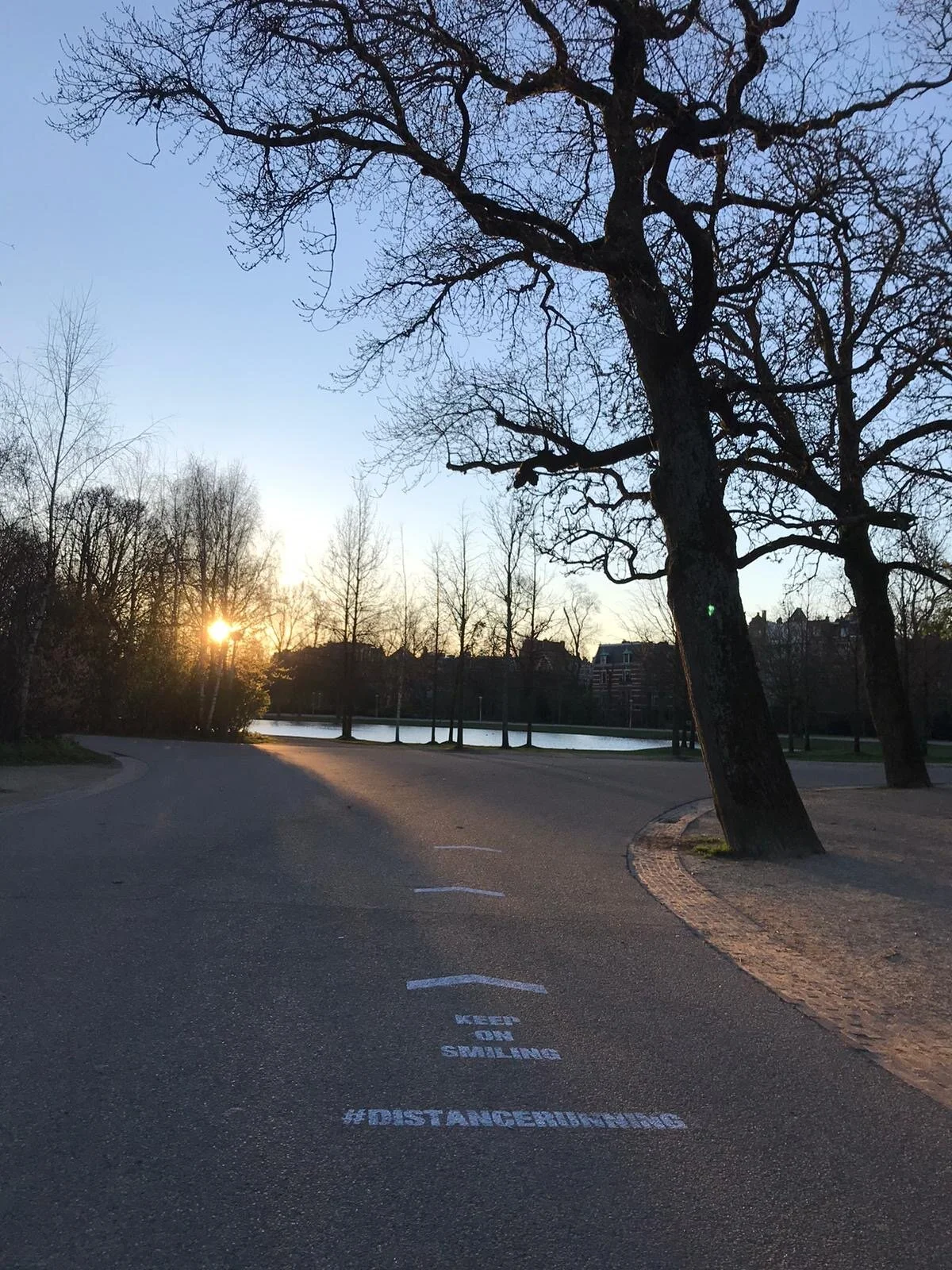 c4b817e9-712f-42a5-975b-c83dd7aaf9d5 copy.JPG