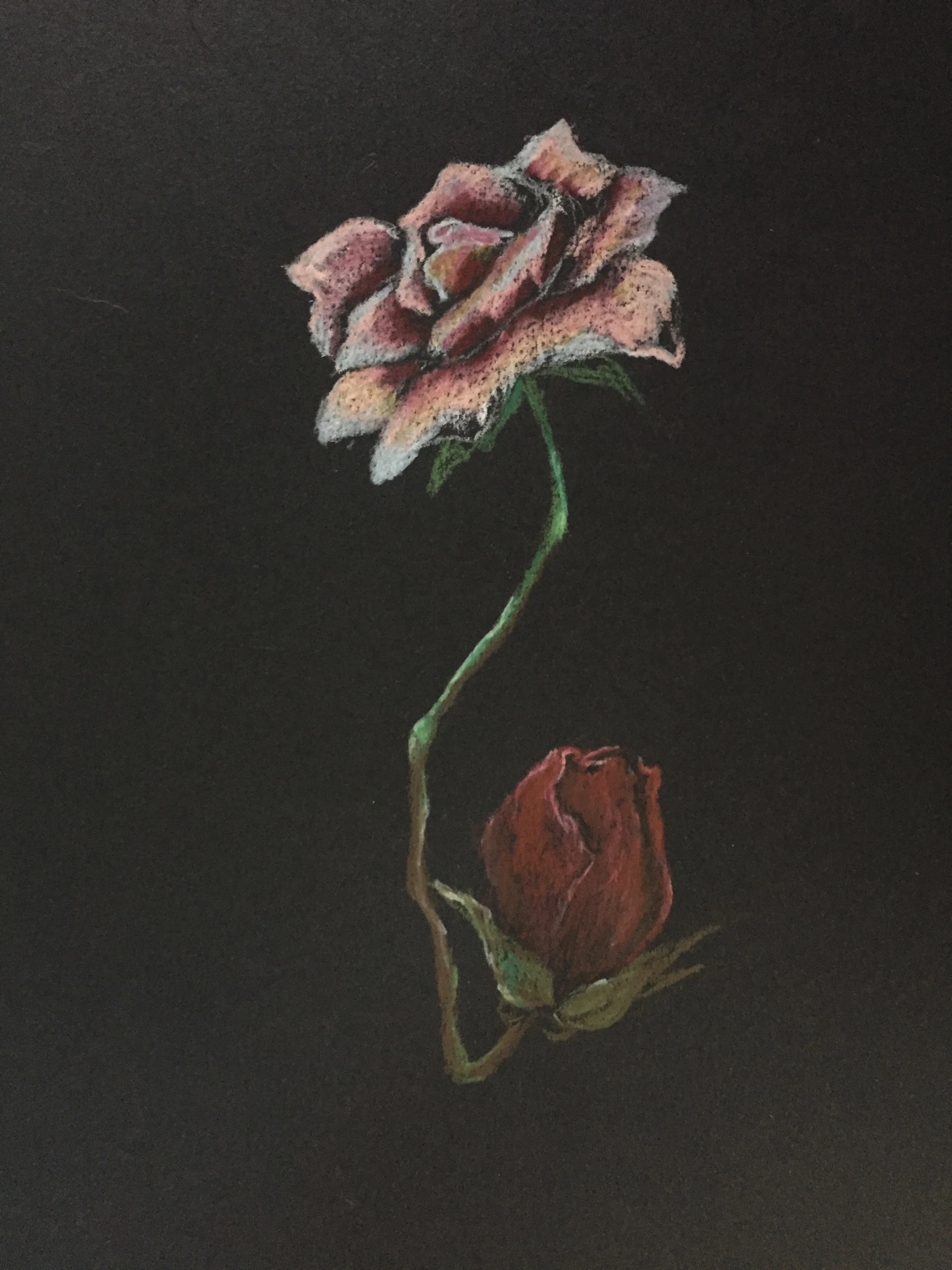 Artwork by Rebekah Lazaridis
