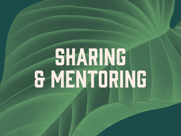Sharing & Mentoring by The Growcery