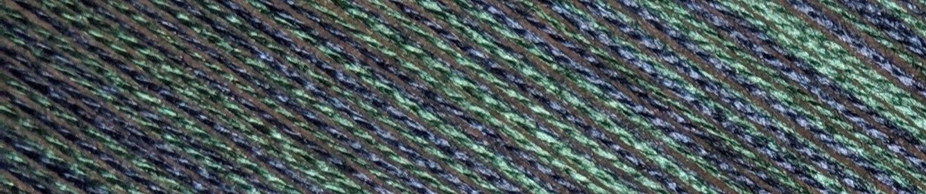 Peacock%2Bwarp.jpg