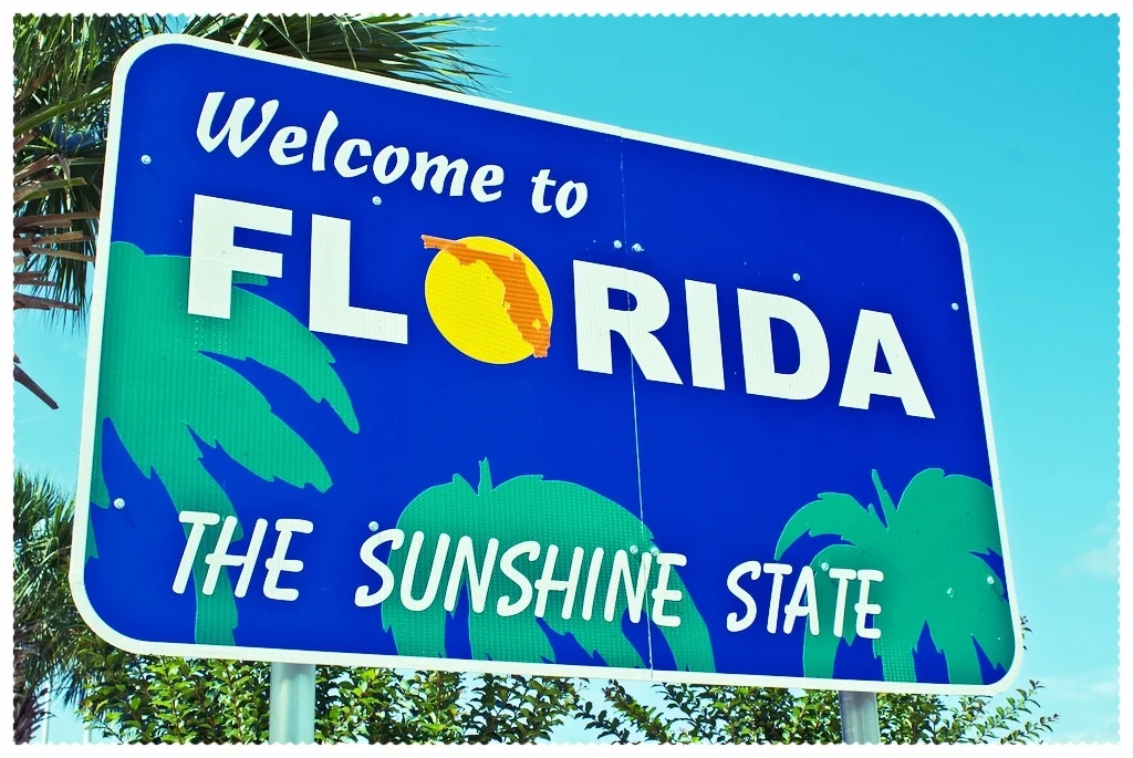 WTF - Welcome To Florida (Original Web Series)