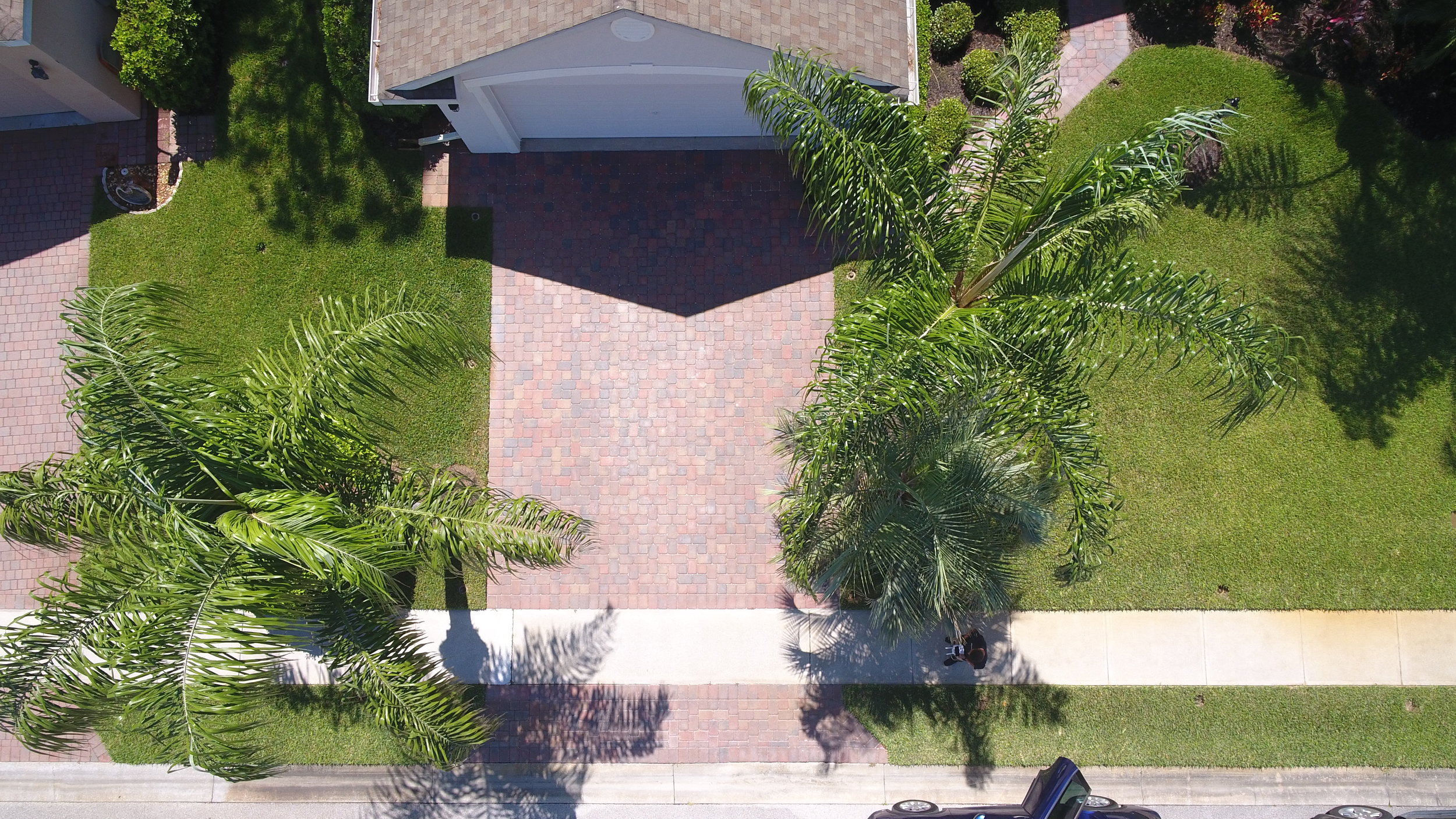 DJI_0219.JPG