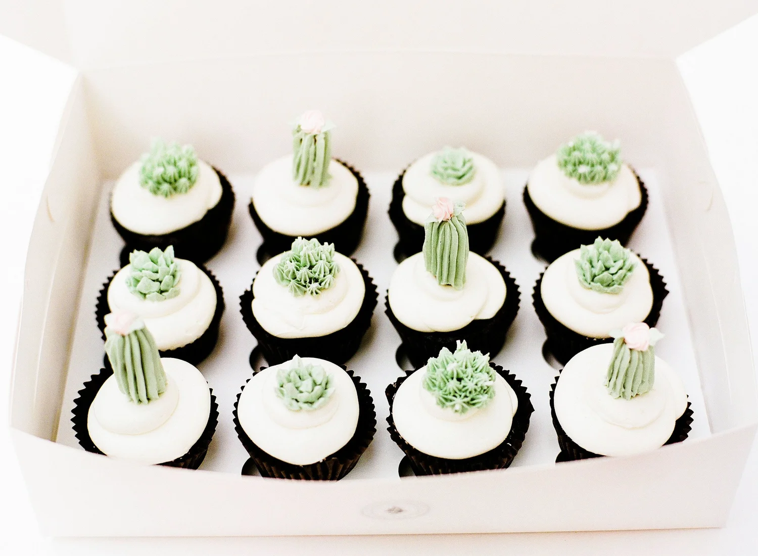 Buttercream Cactus Cupcakes  RUZE CAKE HOUSE