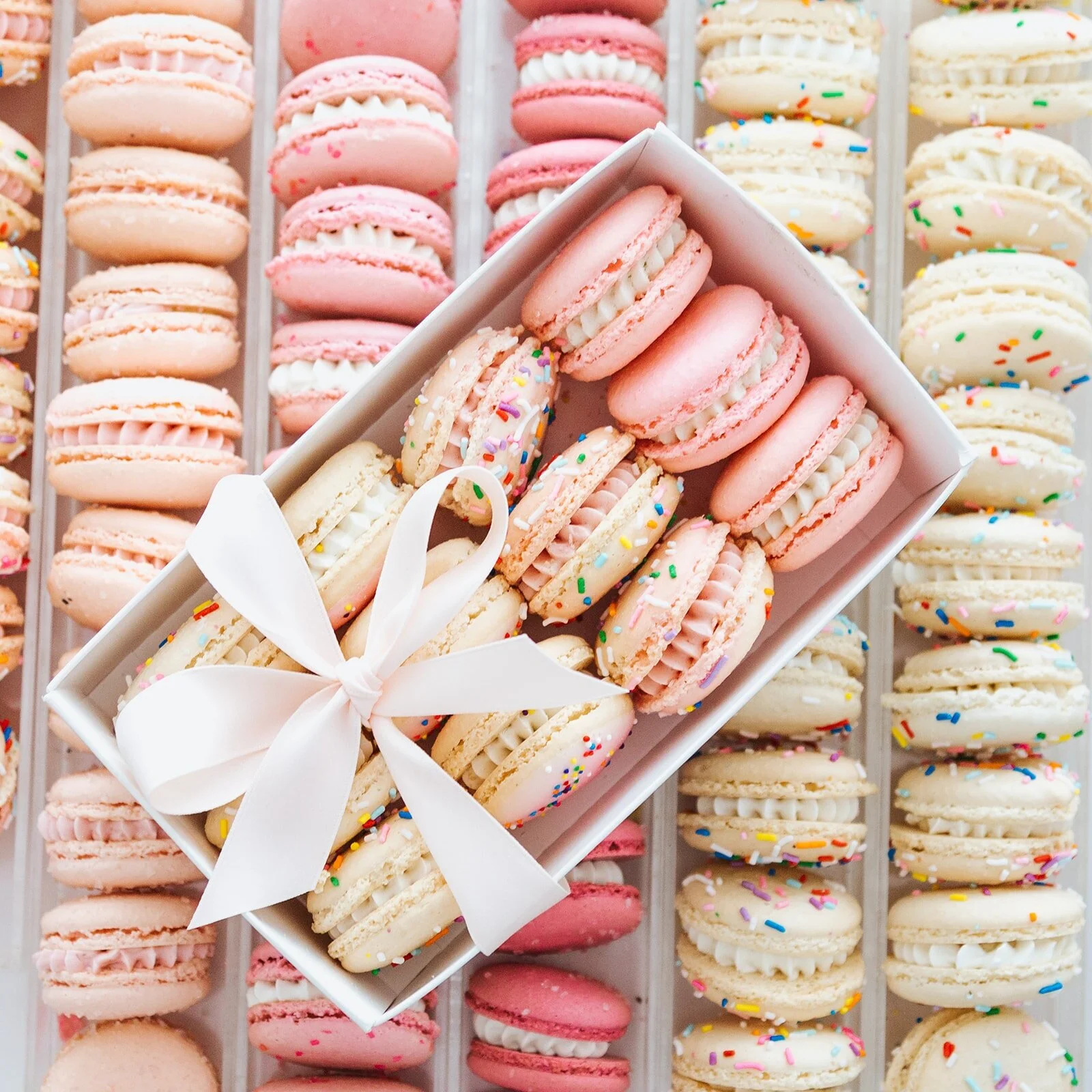 V-DAY - MACARONS - 12 Piece Assorted Blush