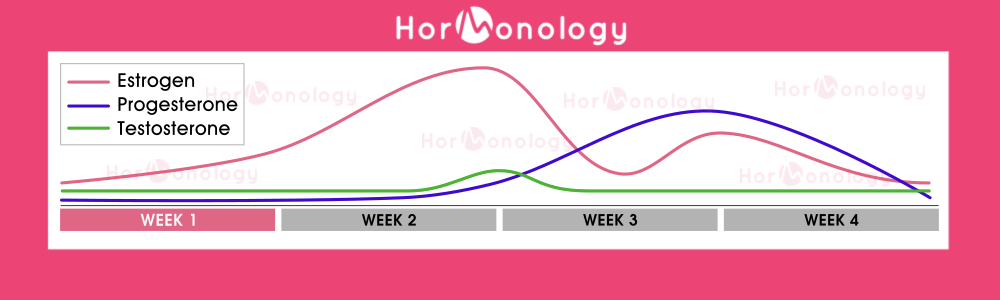 Hack Your Hormones: The Value of Cycle Syncing — Habitually Haley