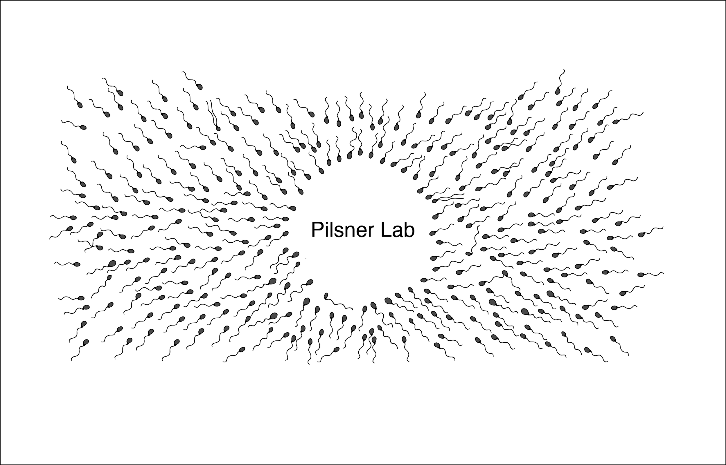 PilsnerLab_noOocyte_v3.png