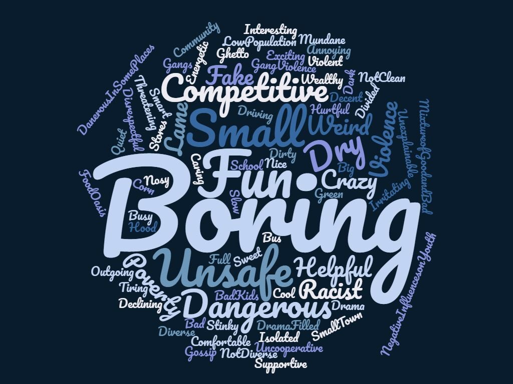 We asked teenagers from the Boys & Girls Club on 9/18/2018 to use 5 words to describe how they view our community. This is the word cloud that created.