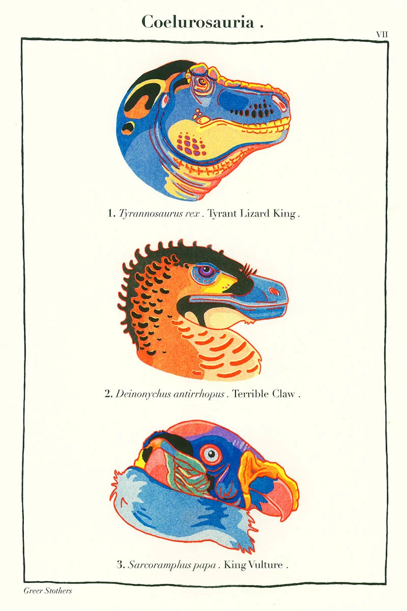 Coelurosauria Small.jpg