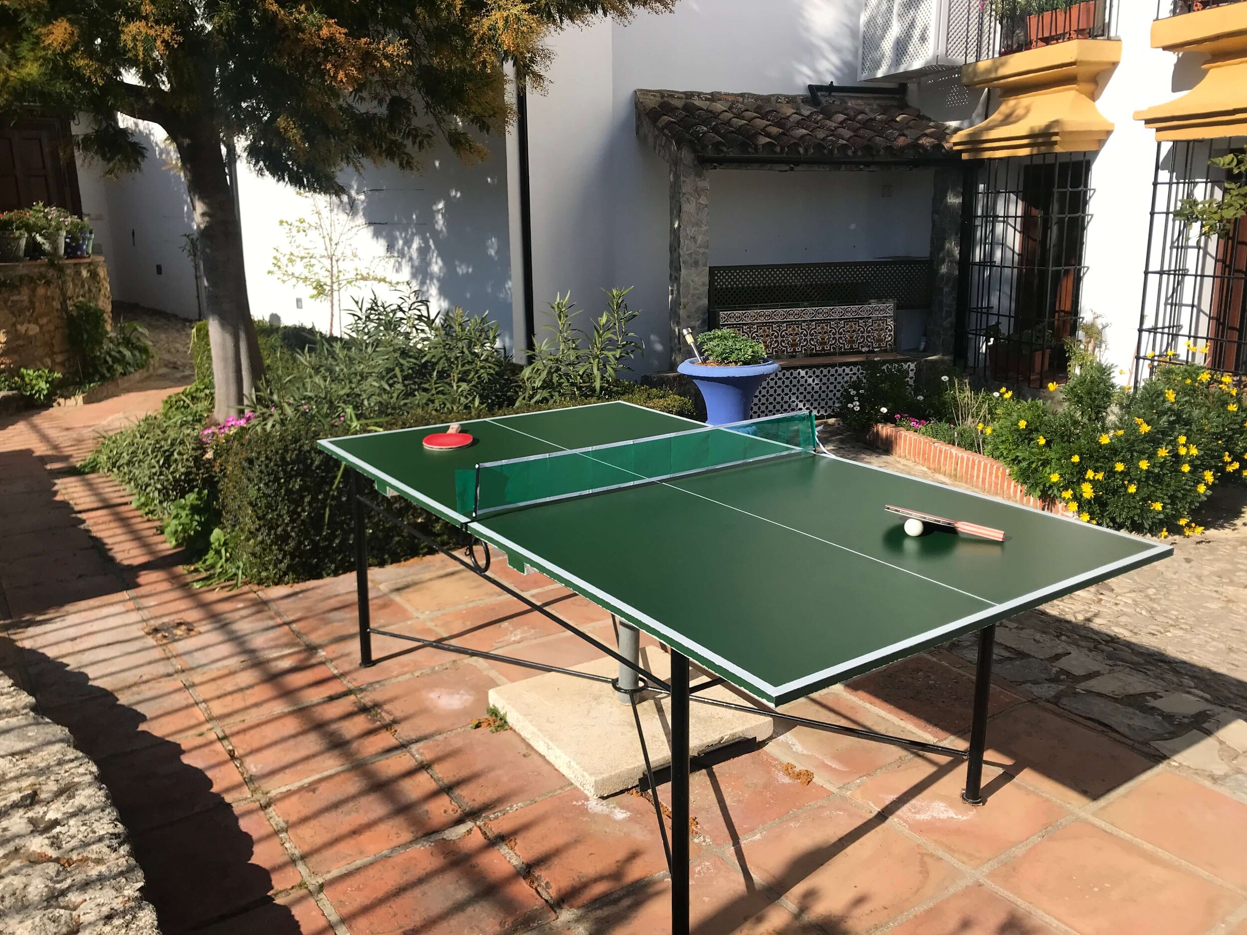 Tenis de mesa en el jardín