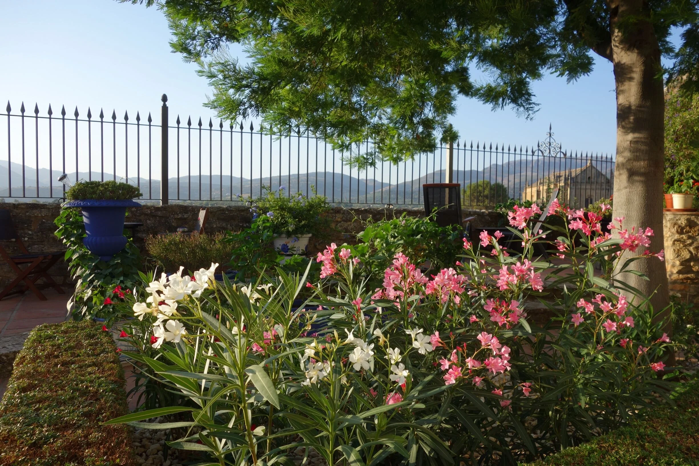 Flores en el jardín