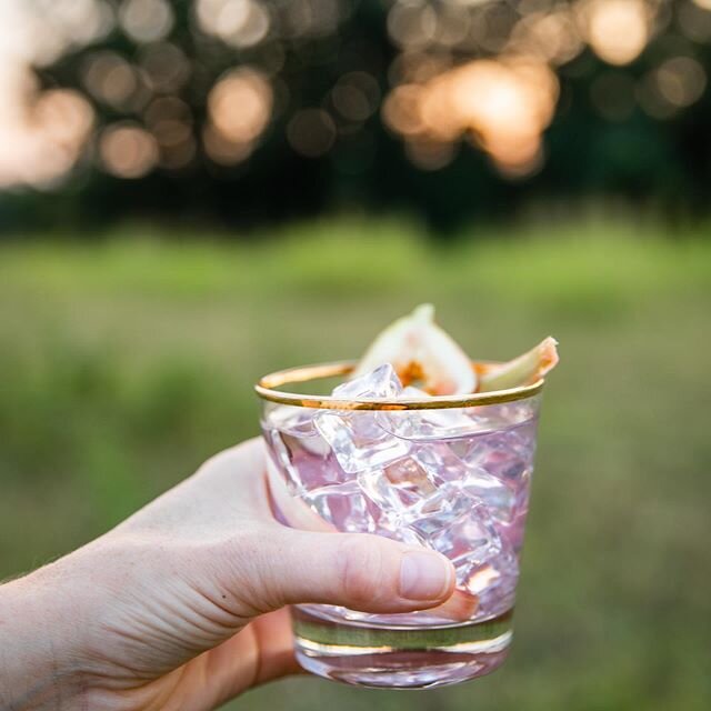 Here&rsquo;s to you Friday. Coming from the couch, in sweats, who hasn&rsquo;t seen real pants in months. It&rsquo;s ok though, tasty cocktails are still a thing.
.
.
📷:@mblakepope
.
.
#mobilebar #garnishgame #ncbride #ncweddings #charlottenc #cltbr
