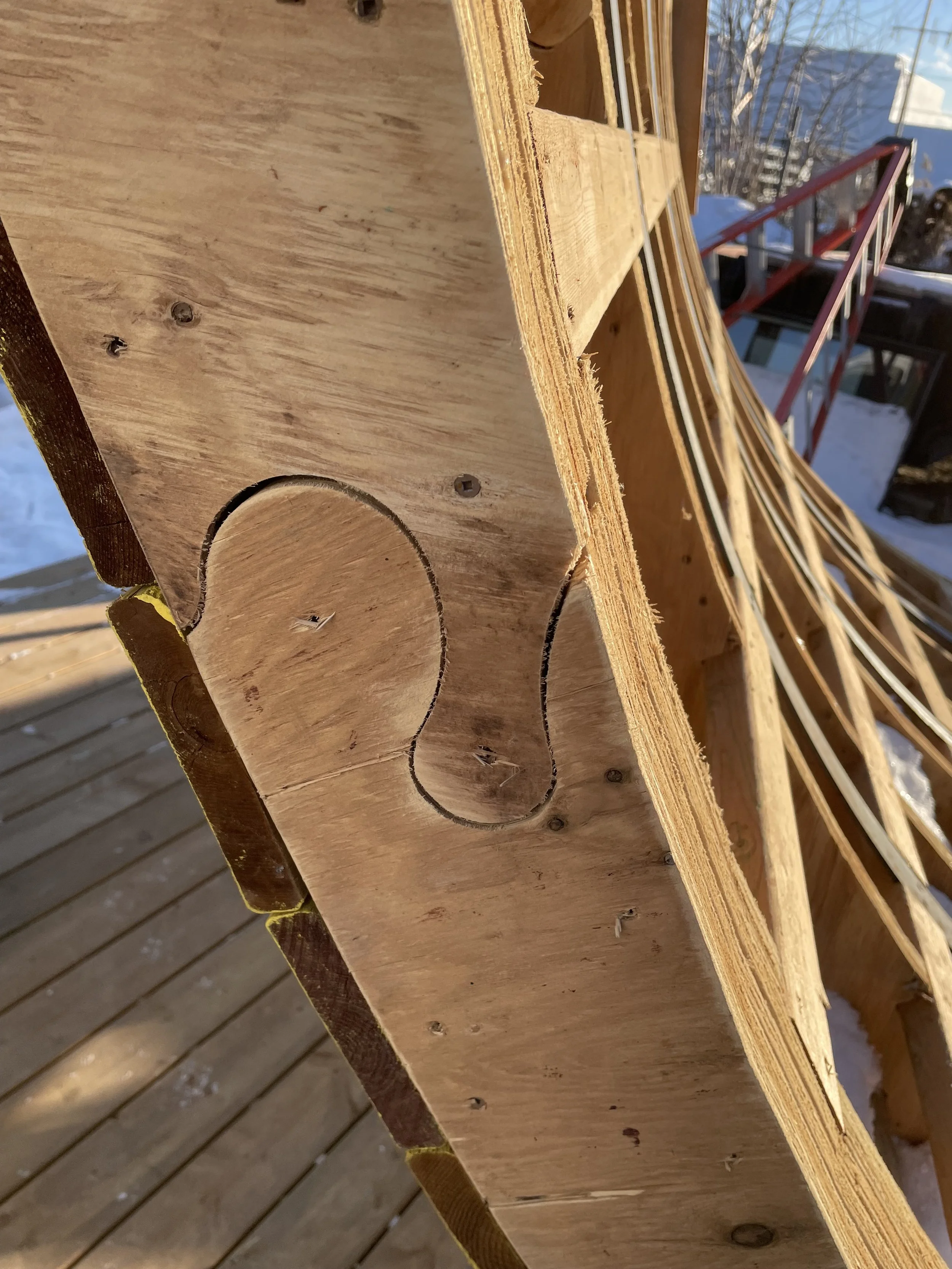 Photo 2023-02-03, 4 26 50 PM.jpg