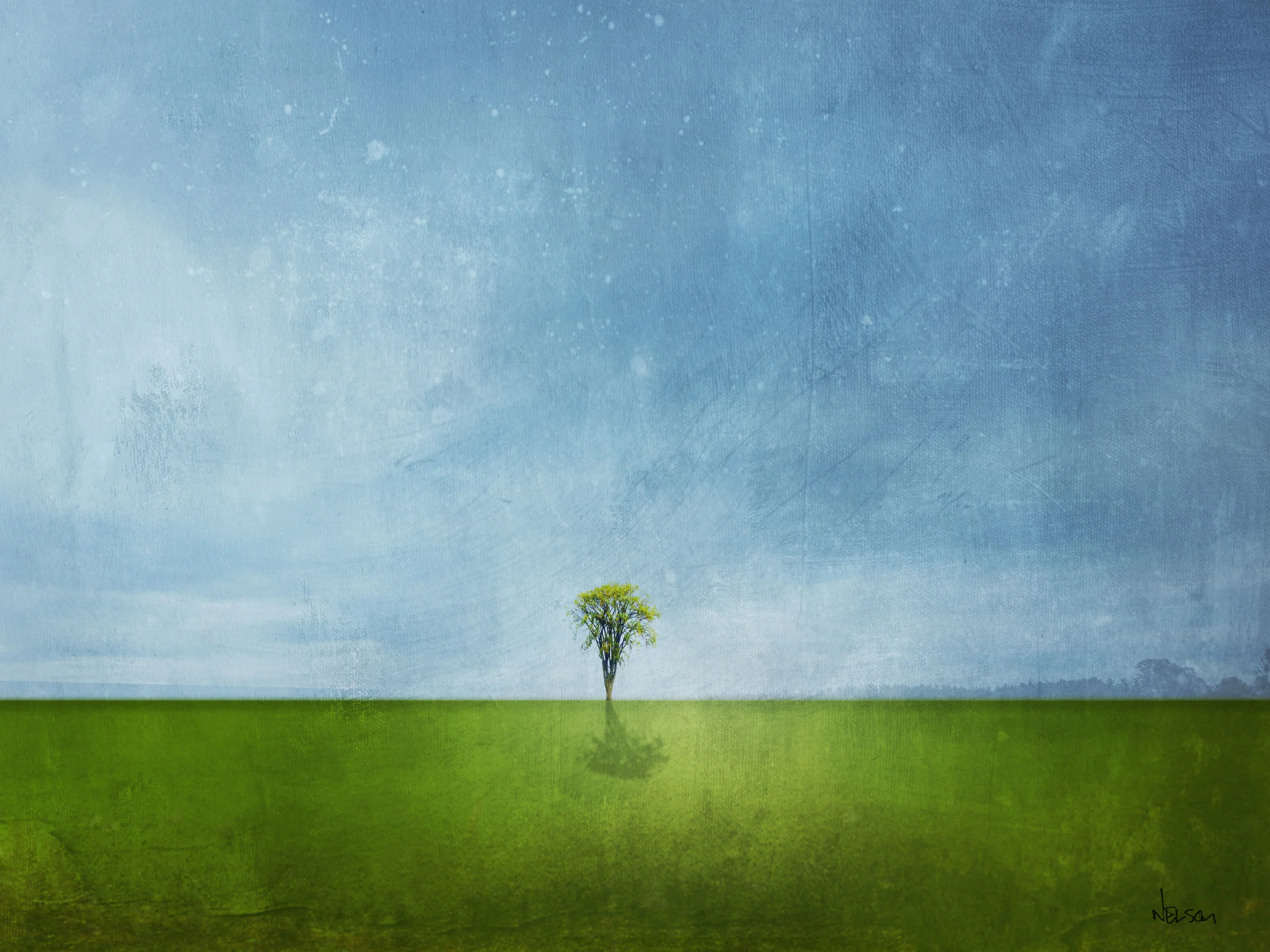 Tree in Field