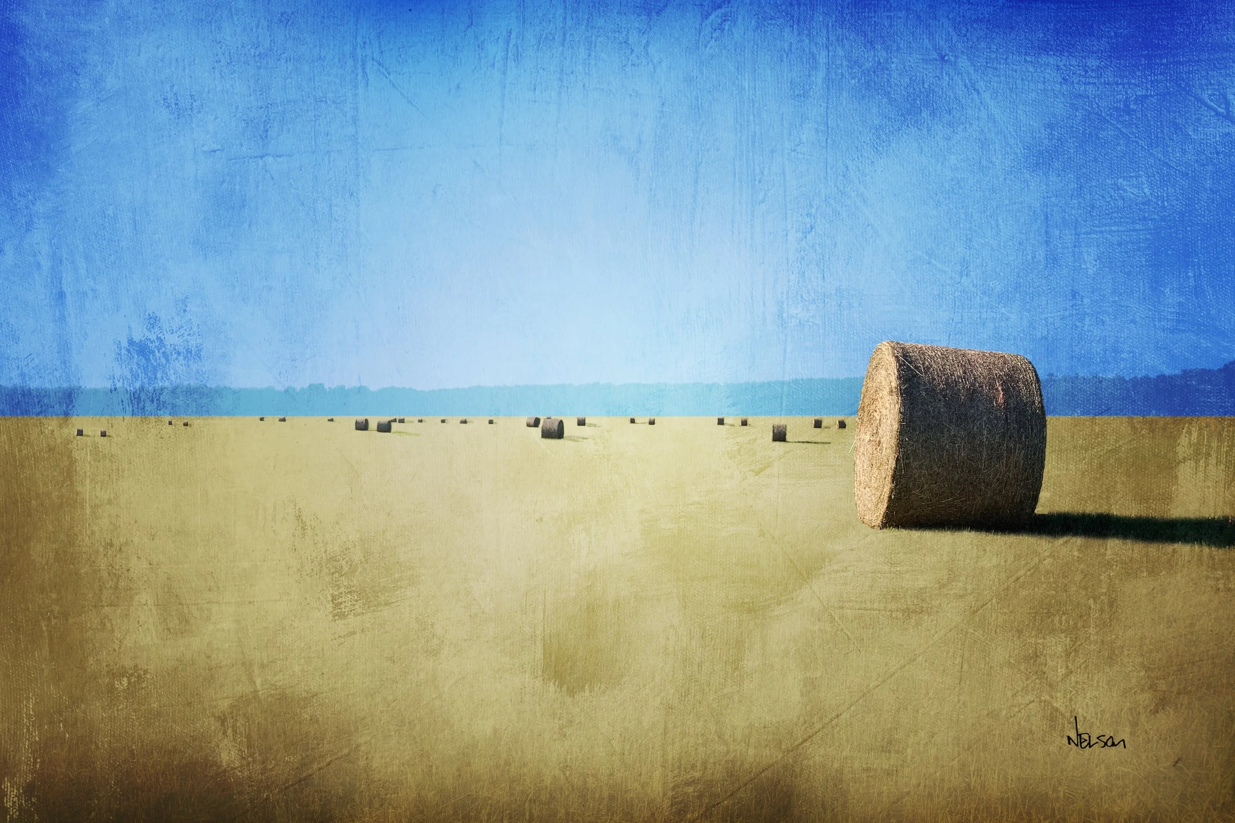 Round Bales in Field