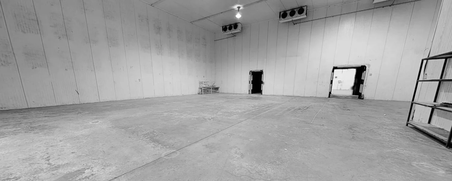 Mono-Stage-2.jpg
