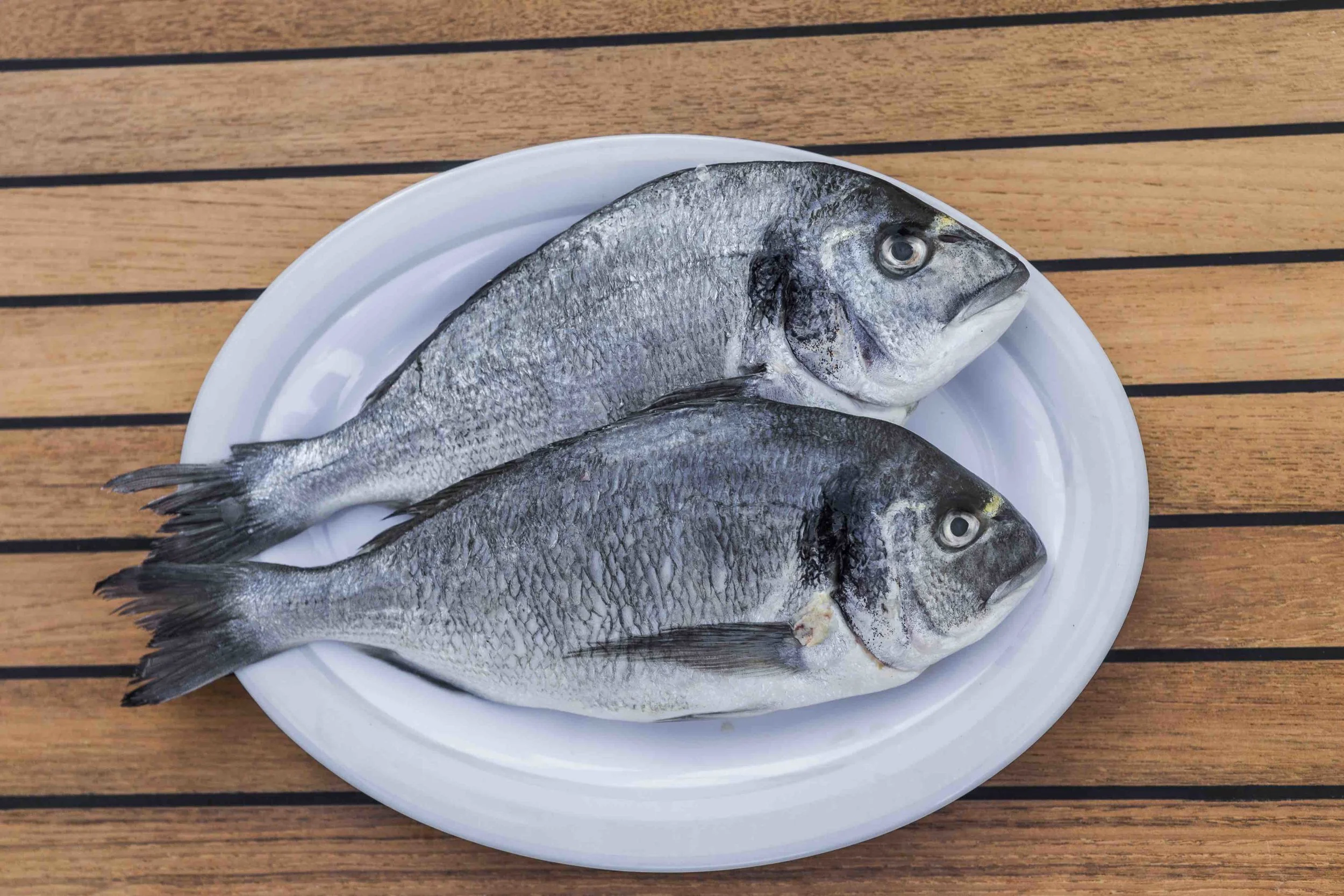 Endless Blue Sea to Salt to Table.jpg