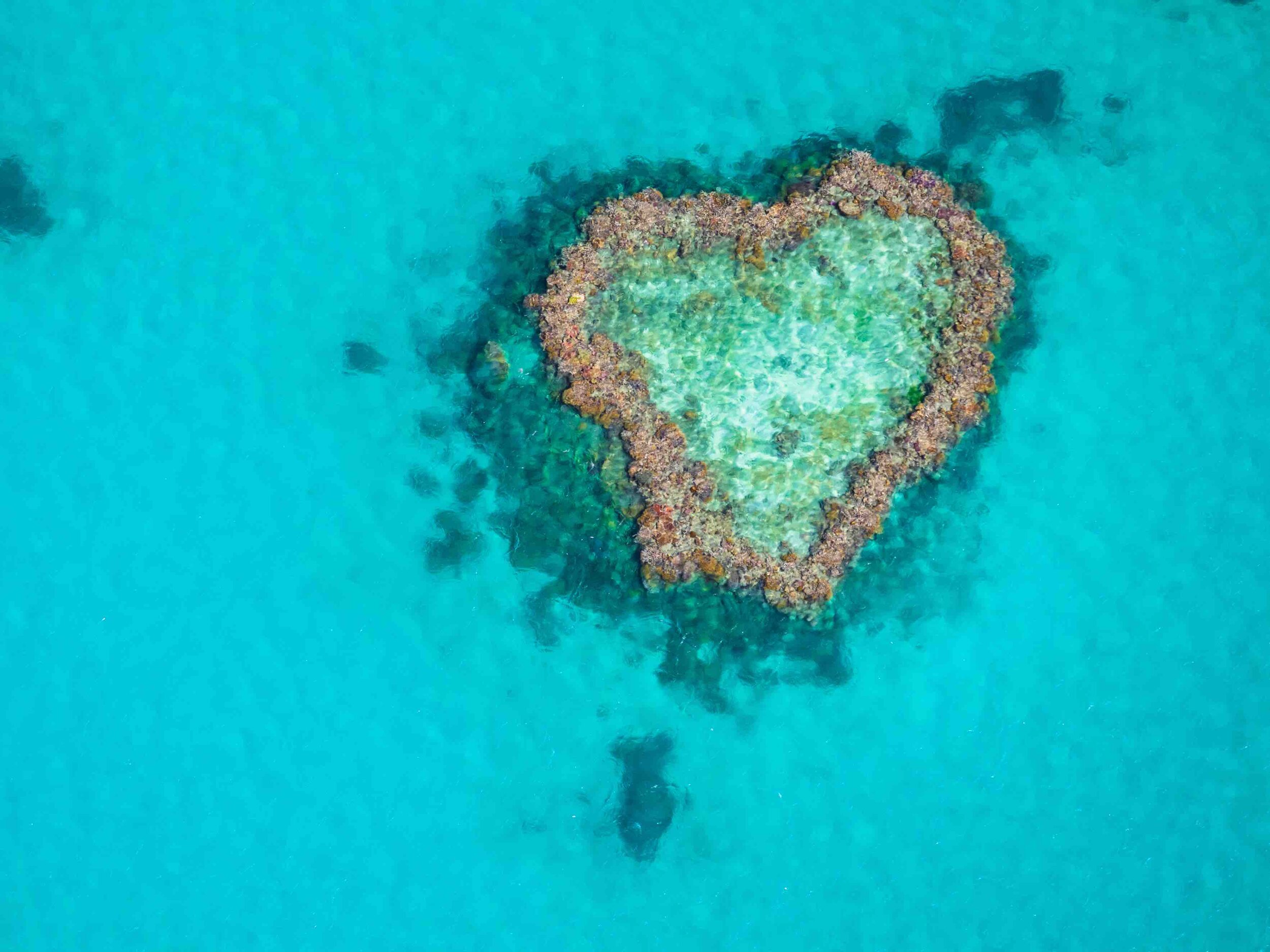 GREAT BARRIER REEF HEART ISLAND.jpg