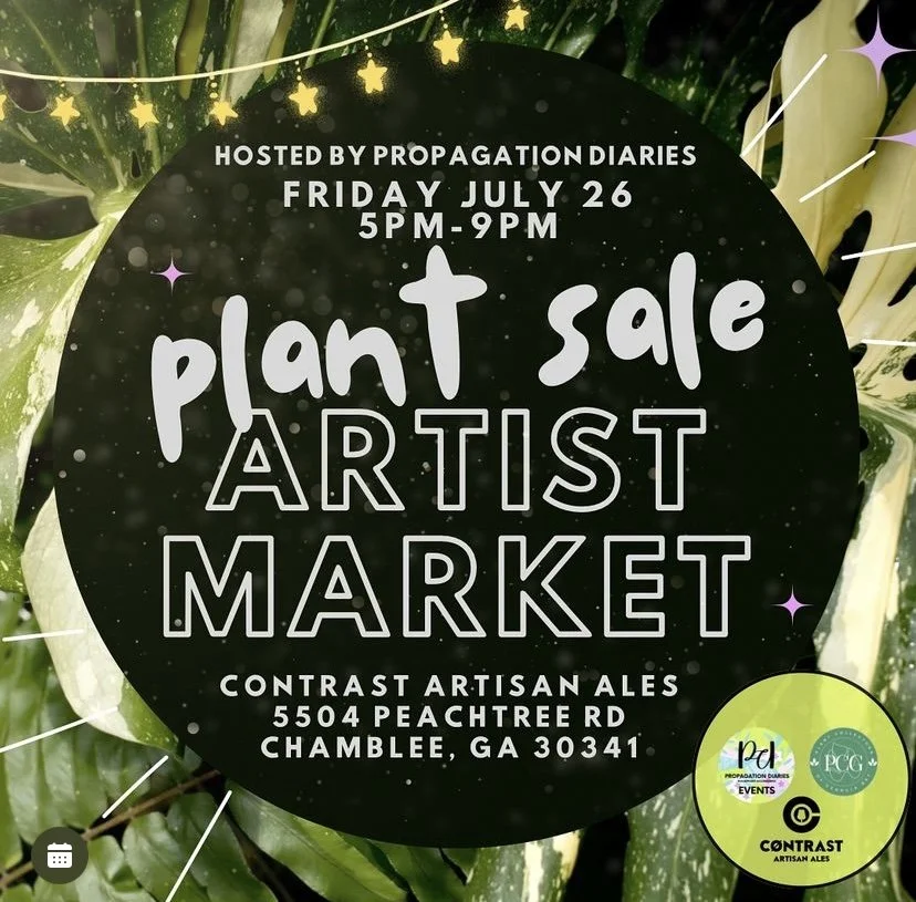 Art & Plant Night Market