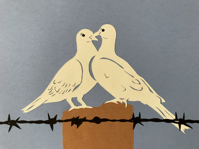 Doves on Barbed Wire