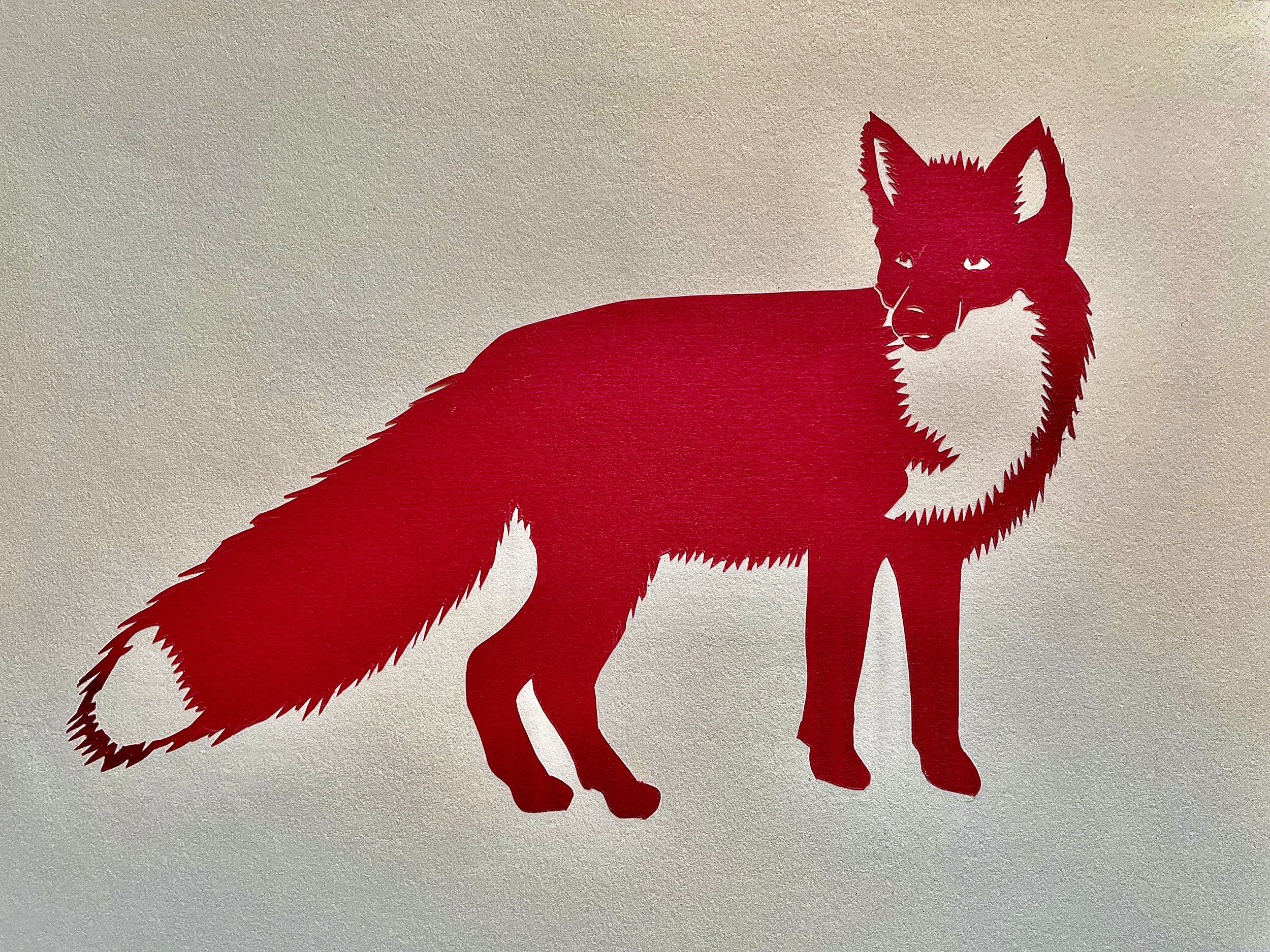 Red Fox