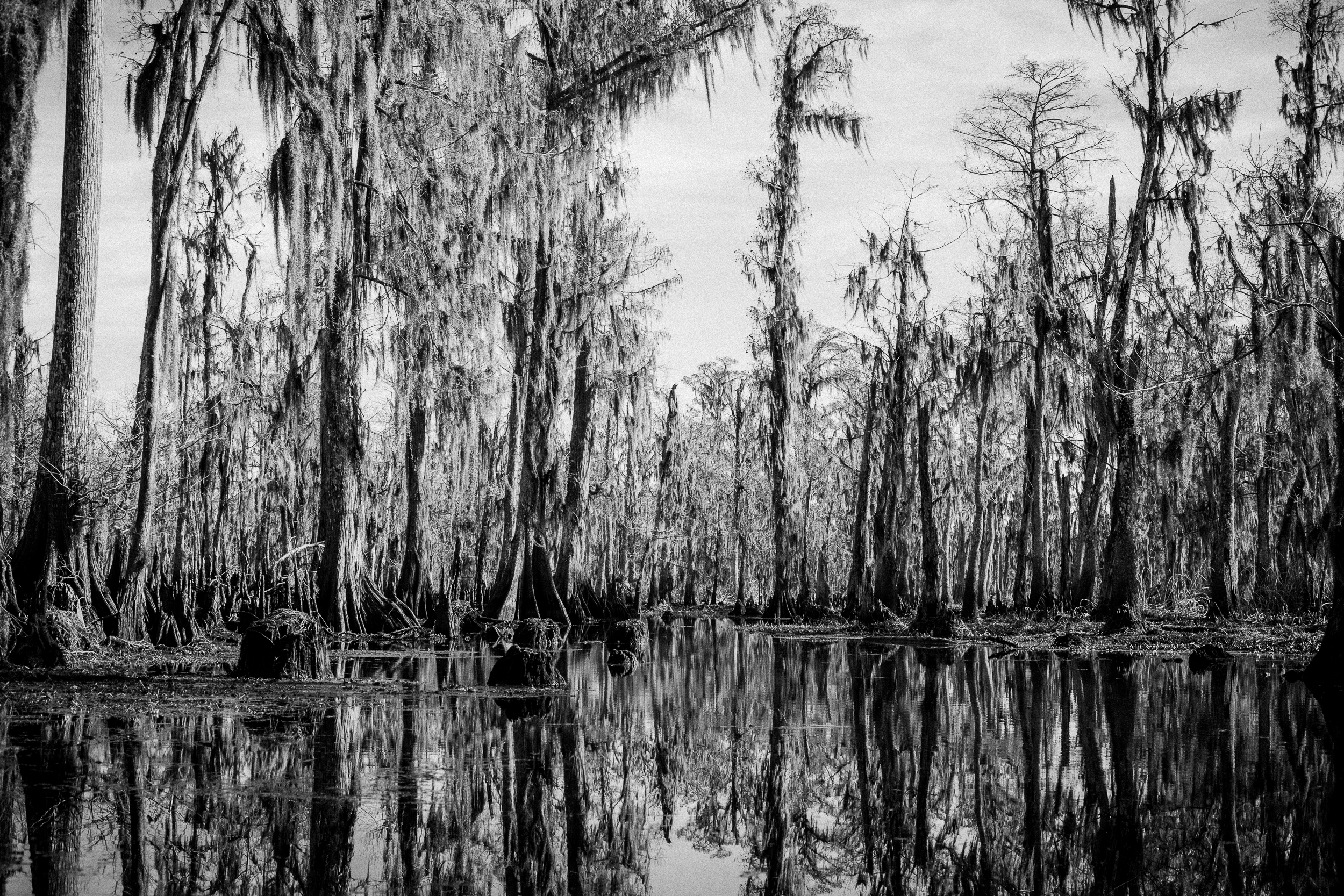 julie-verlinden-Louisiana-landscape-photography-_MG_8693.jpg