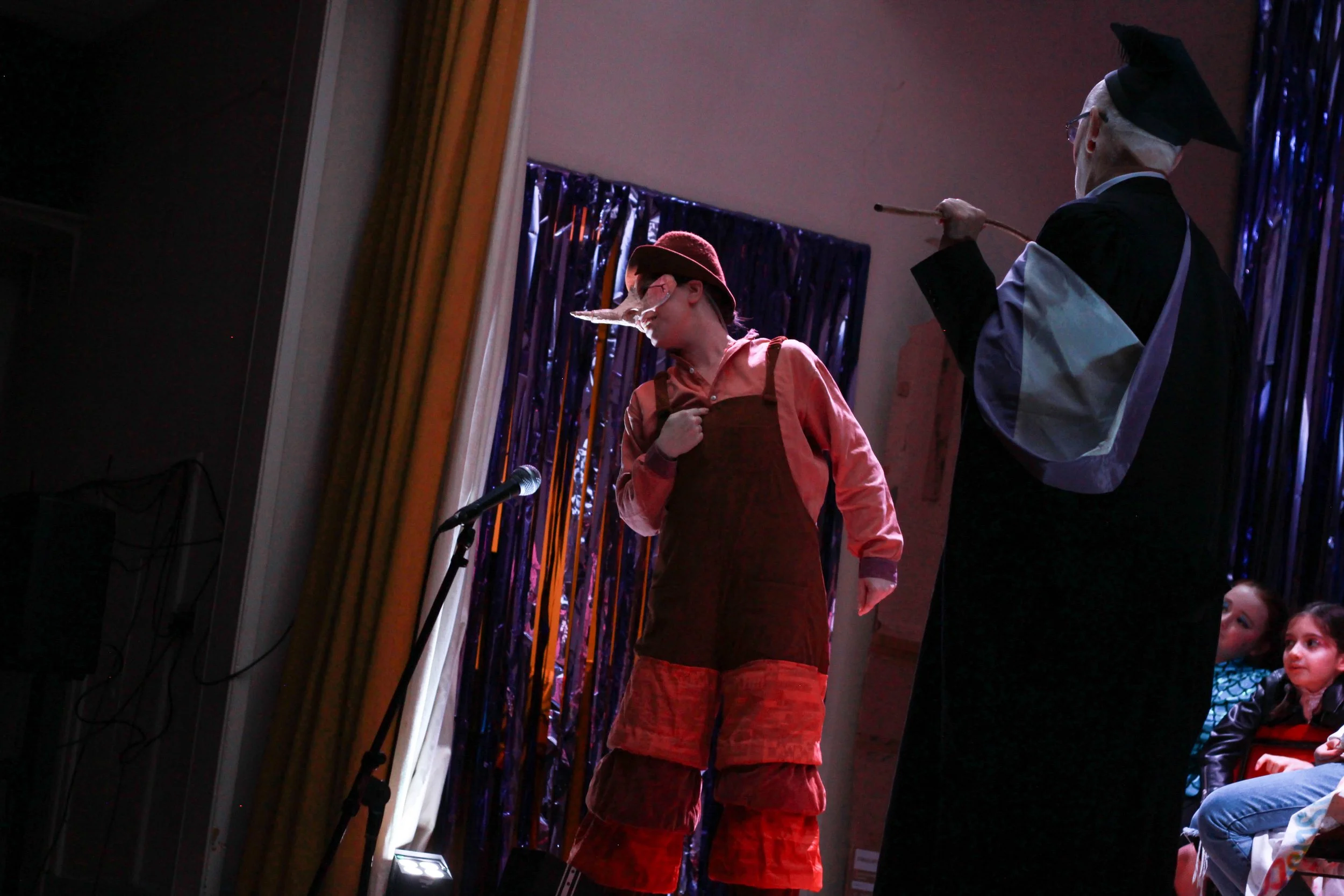 Pinocchio Panto show-18.jpg