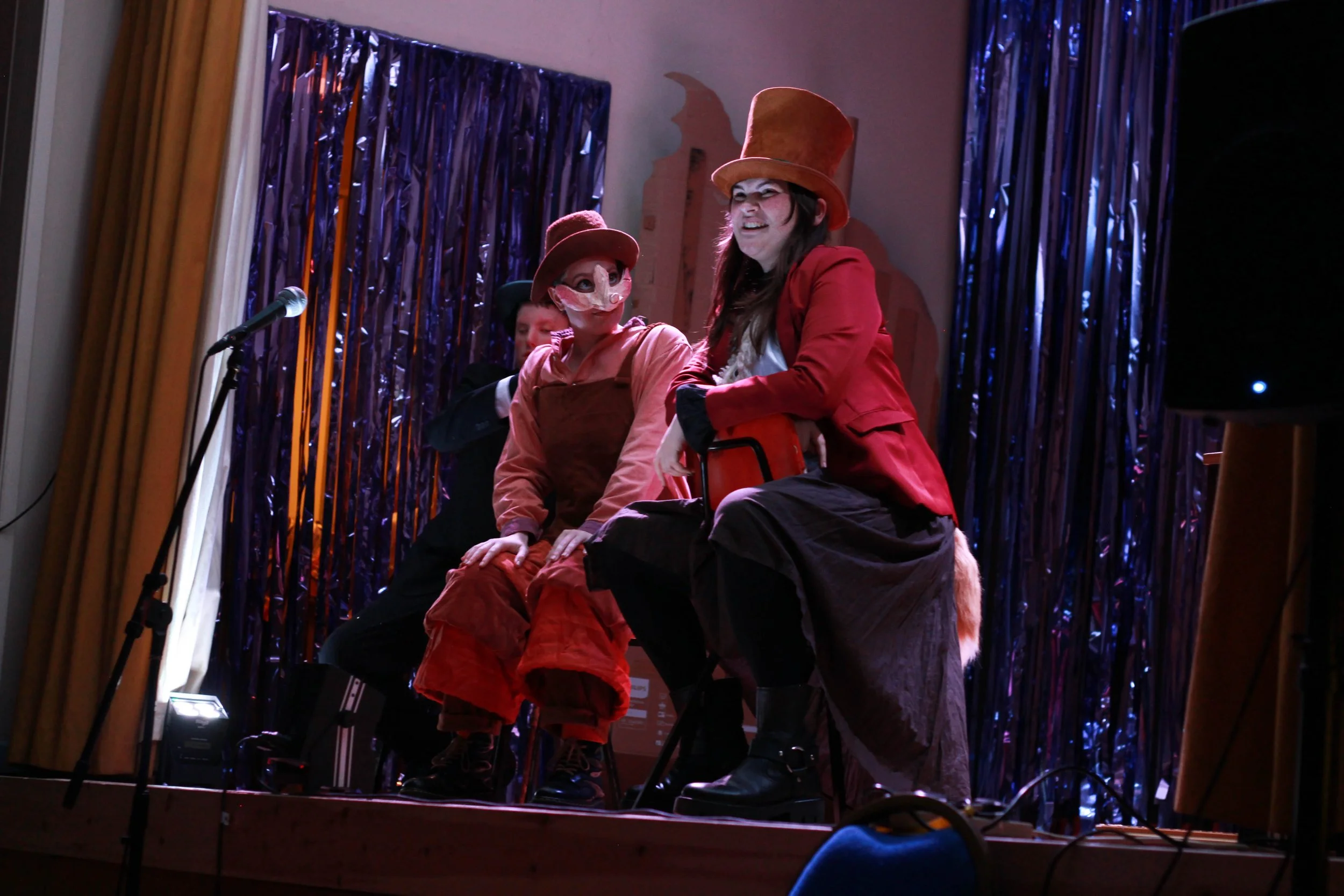Pinocchio Panto show-22.jpg