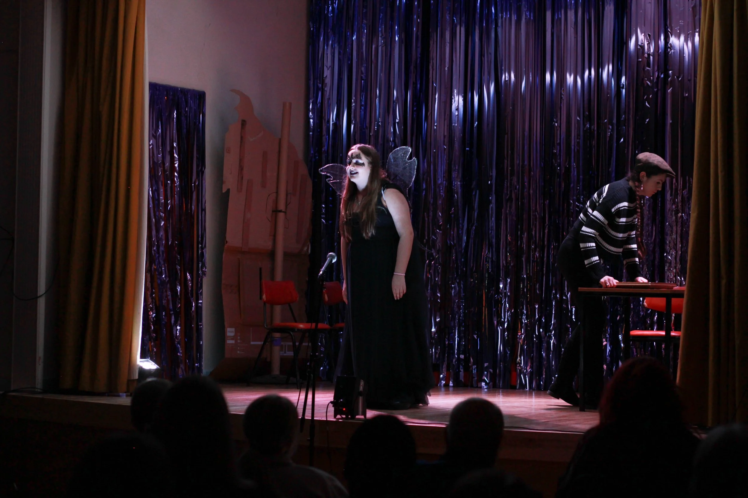 Pinocchio Panto show-29.jpg