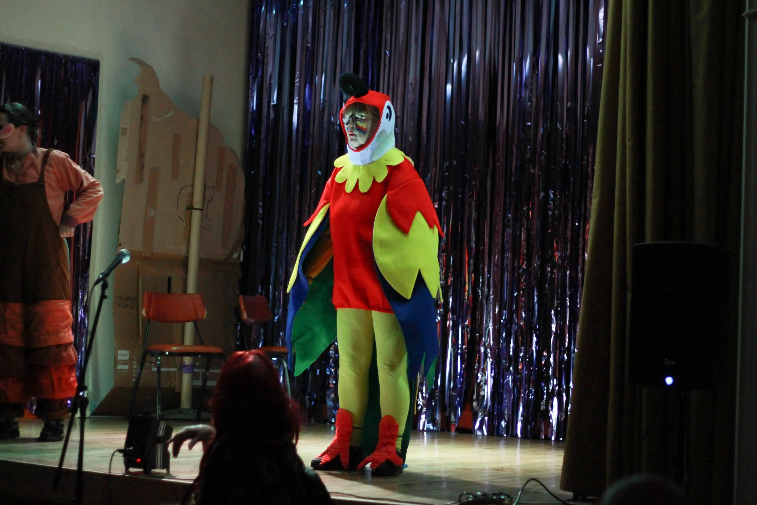 Pinocchio Panto show-51.jpg