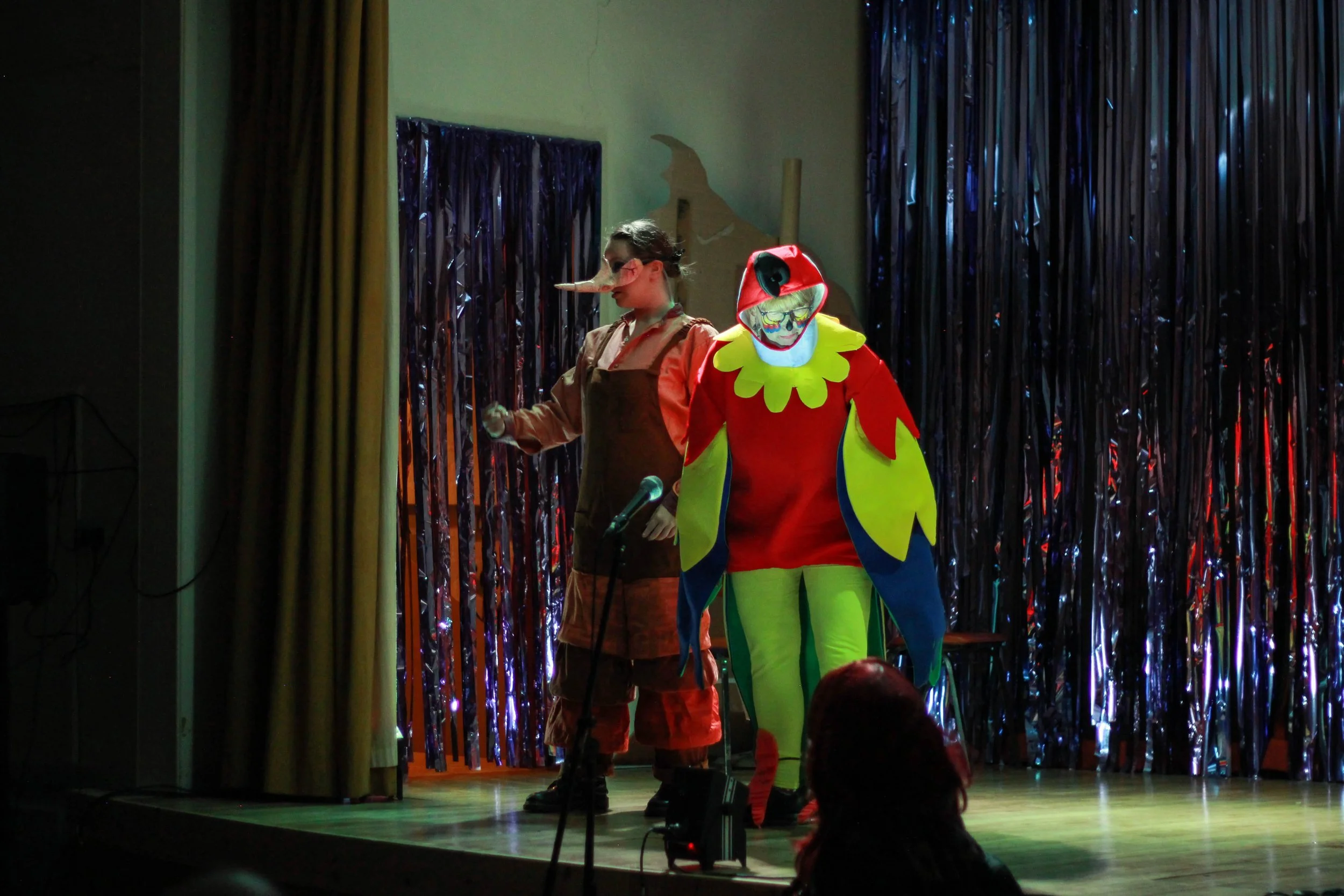 Pinocchio Panto show-53.jpg