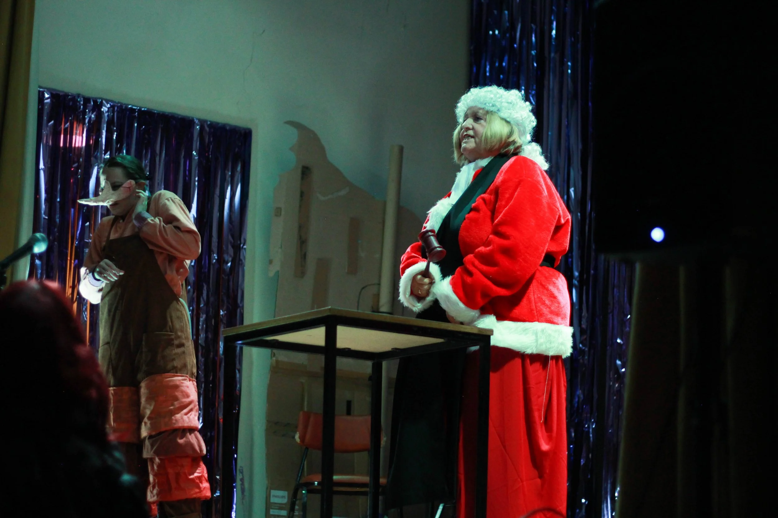 Pinocchio Panto show-54.jpg