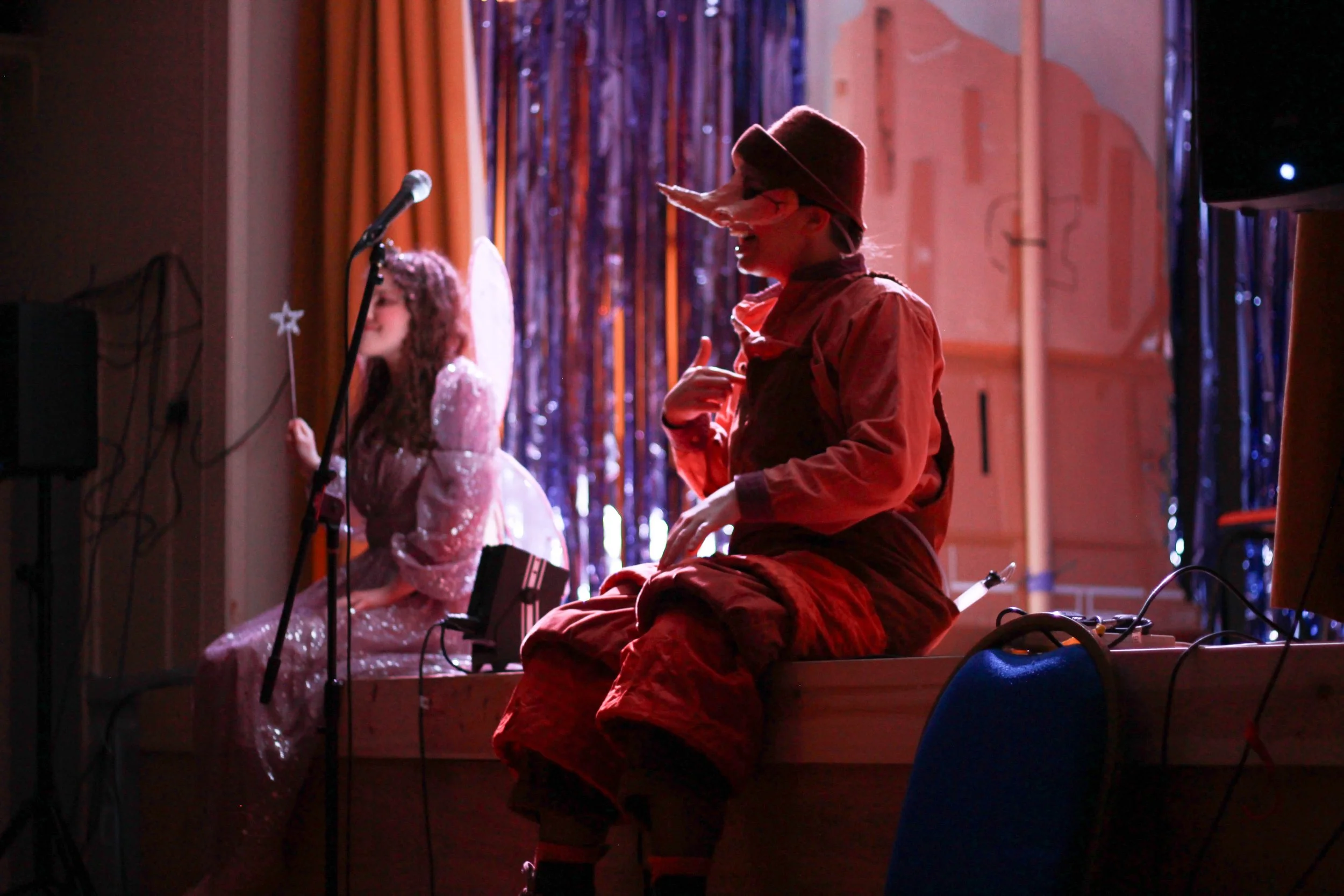 Pinocchio Panto show-76.jpg