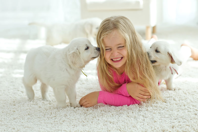 carpet-girl-with-puppies.jpg
