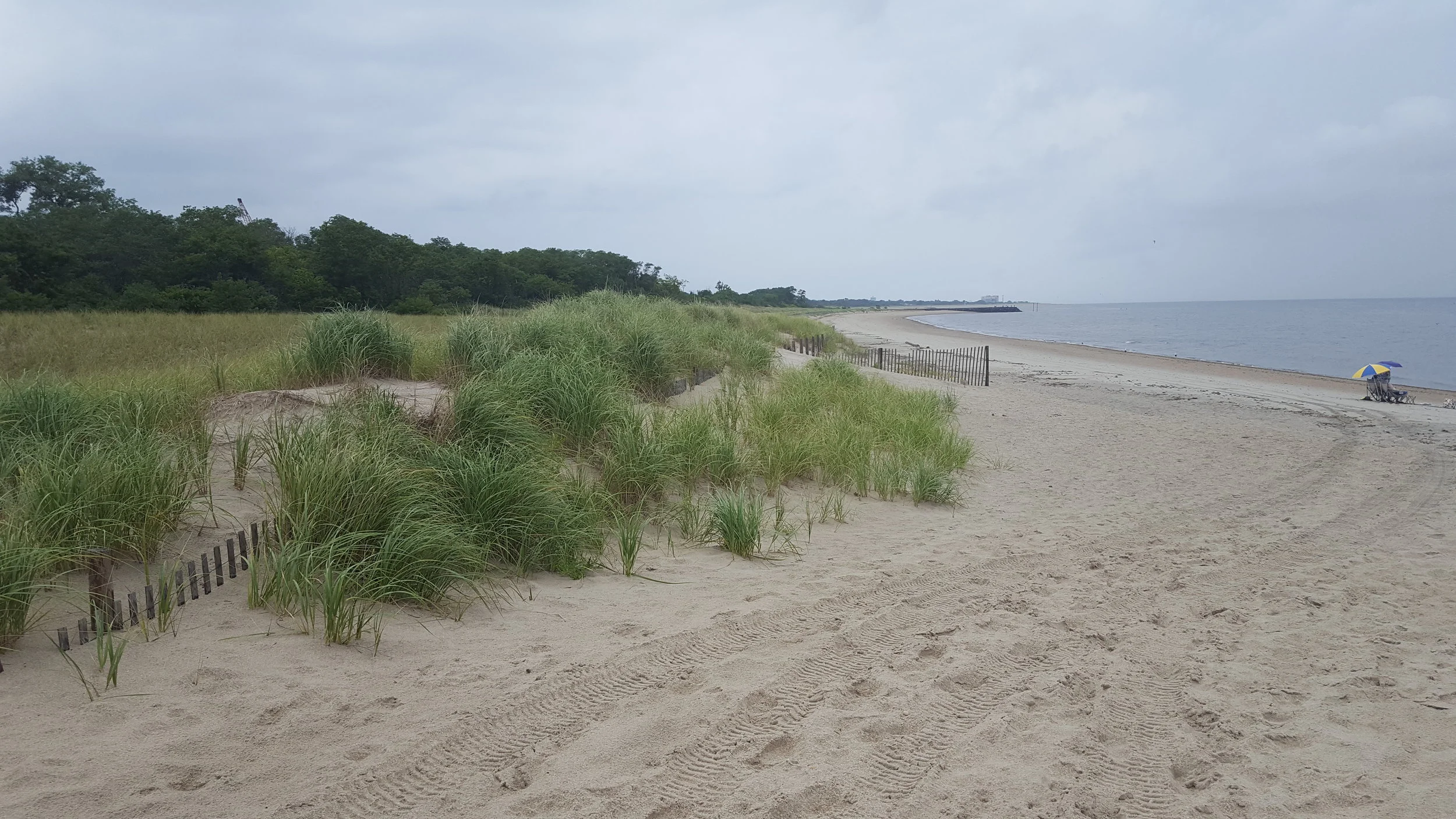 Bayshore Waterfront Park, New Jersey (2018)