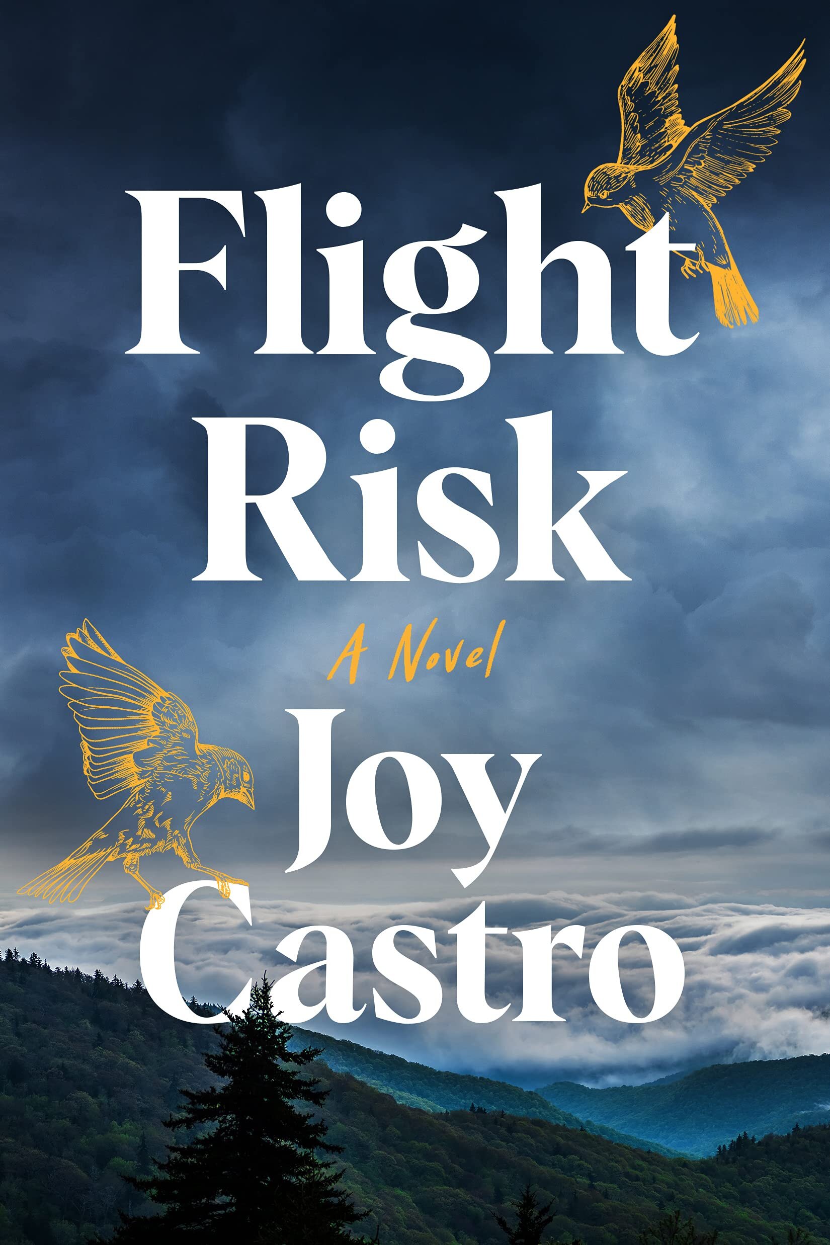 FlightRisk_JoyCastro.jpg