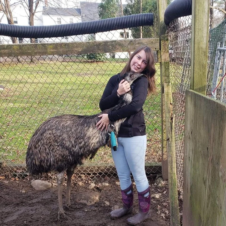 Amber Emu.jpg