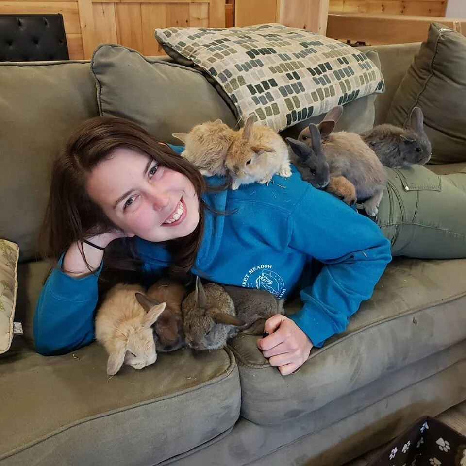 Amber Rabbits.jpg