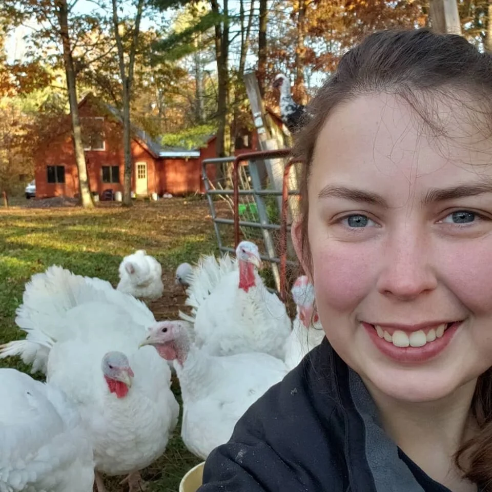 Amber Turkeys.jpg