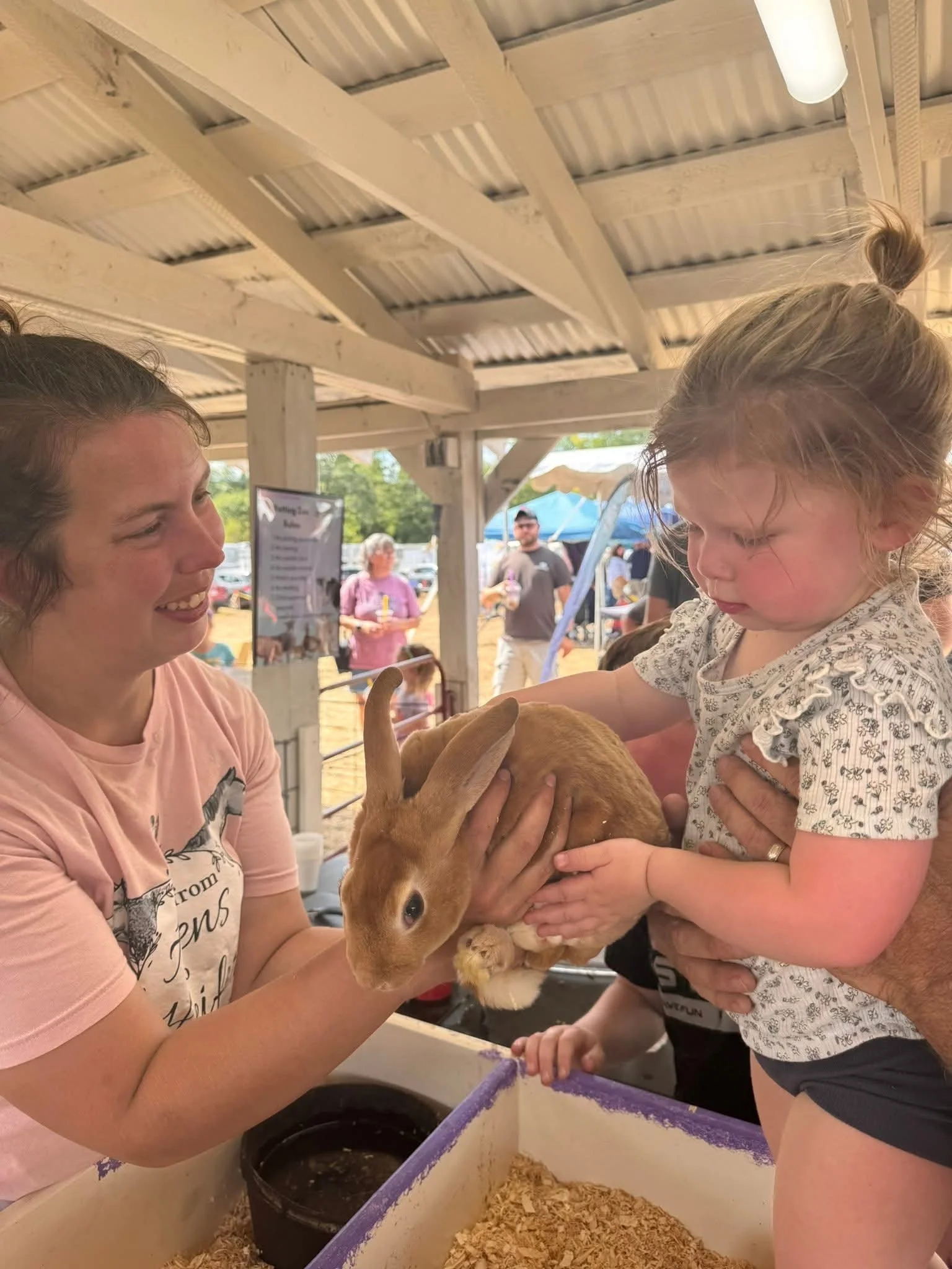 A young girl and a woman holding a brown rabbit at a petting zoo. The woman is smiling, and the girl is looking at the rabbit, which is being held over a purple and white container of hay or bedding. At the Acton Maine Fair.