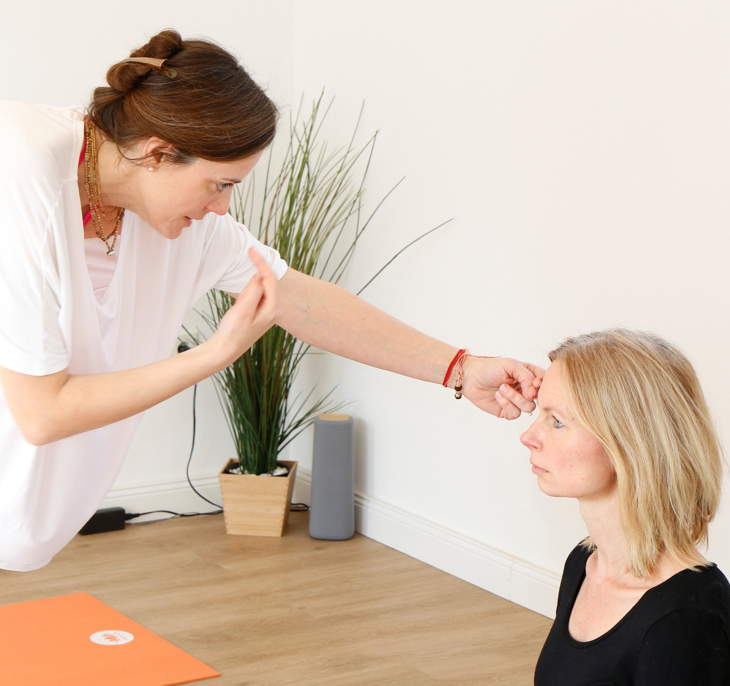 Face Yoga Modul 1 The Look Yana Yoga Limburg