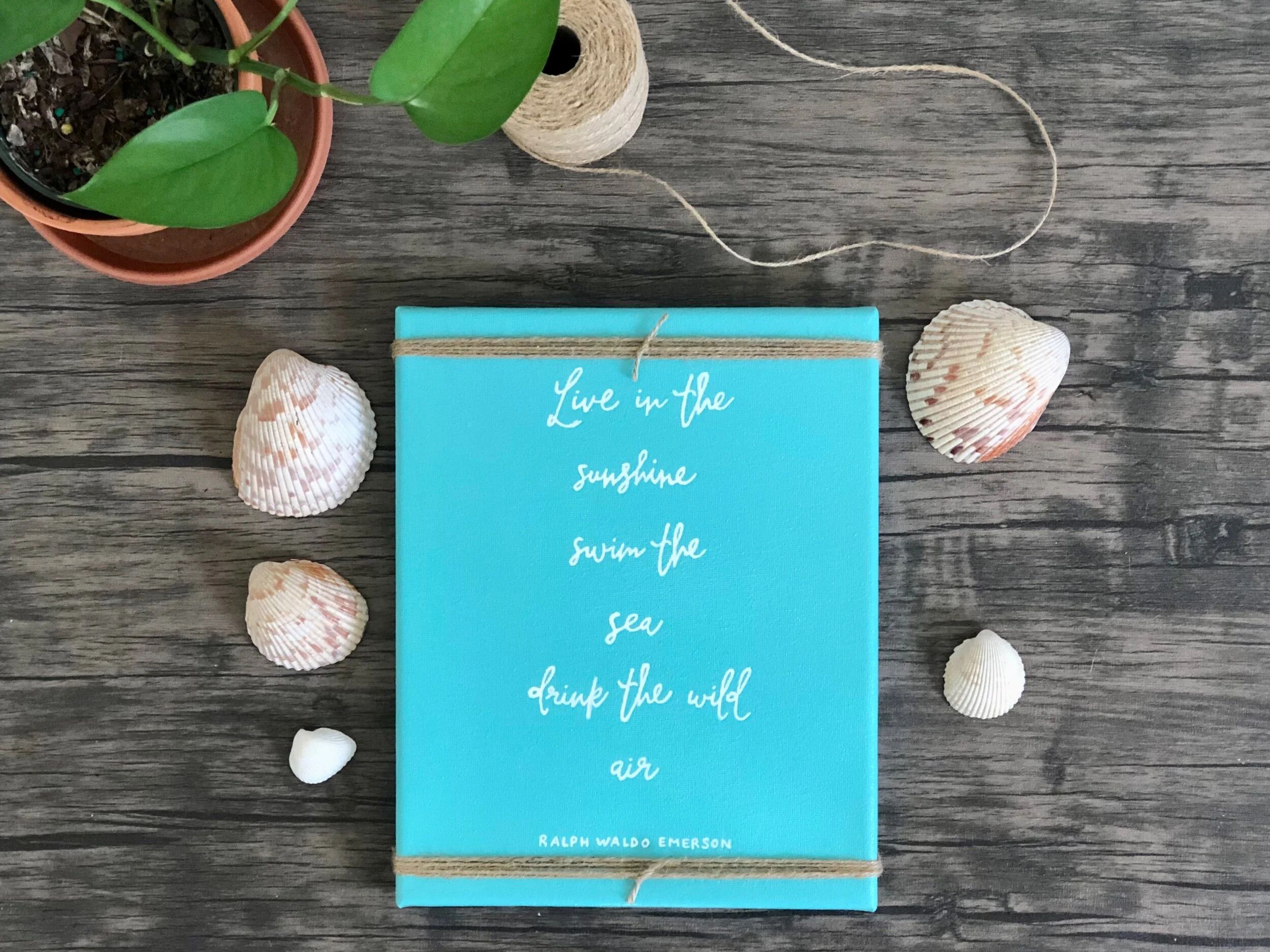 D4D3DDCF-2D2D-43EA-89D8-7DB2E76A0BA7