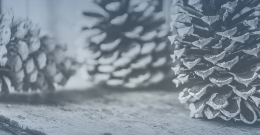 Pricing Rebounds &amp; Positive Indicators Make a Merry Christmas