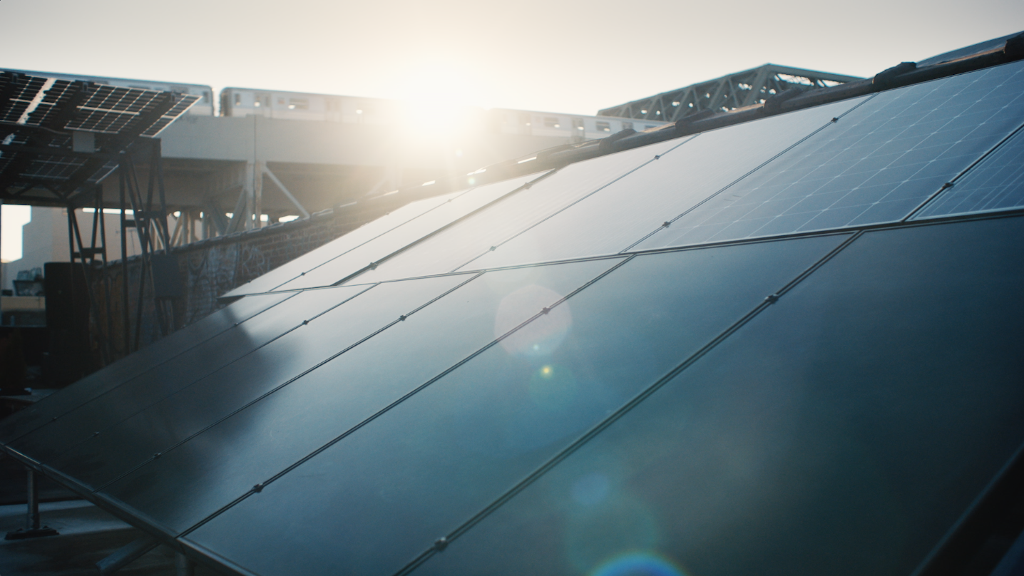 Brooklyn SolarWorks "Grow Together"