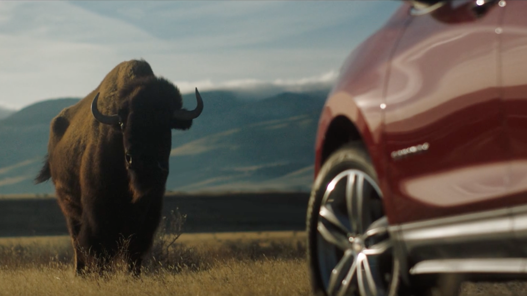 Chevy "Bison"