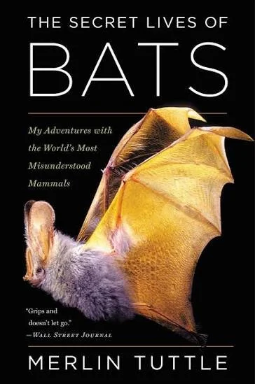 book.jpeg