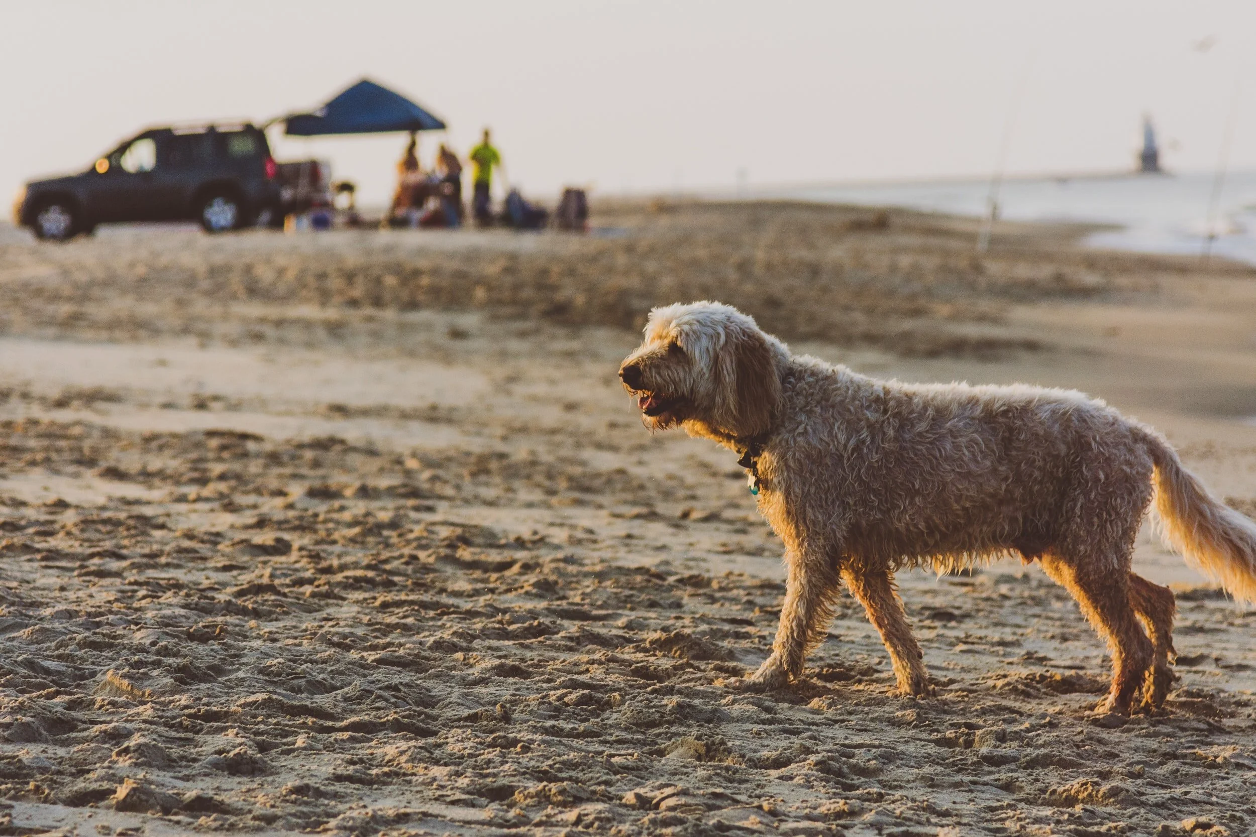 Four rules that shape your behavior